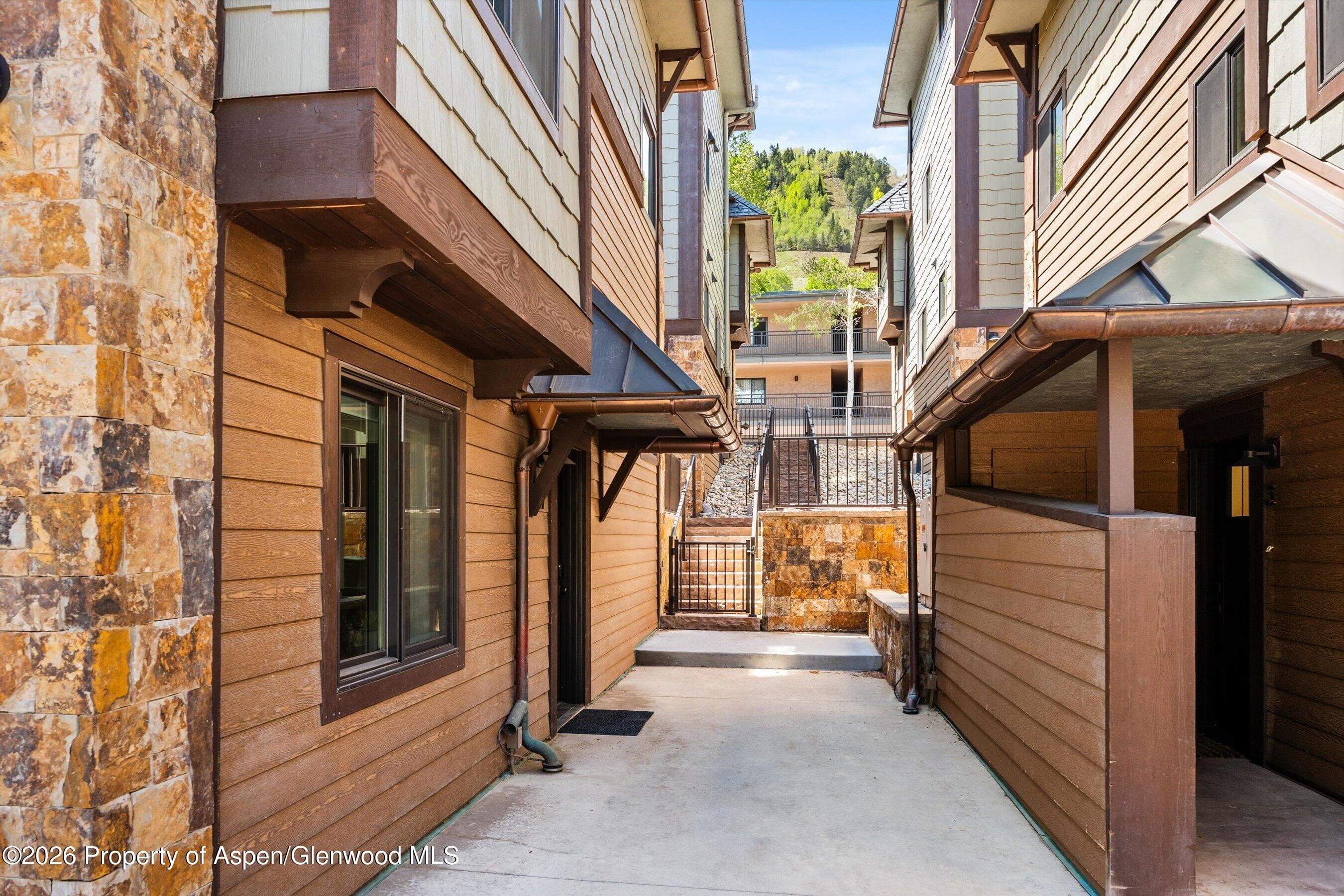650 S Monarch Street 7, Aspen, CO 81611 - Photo 28