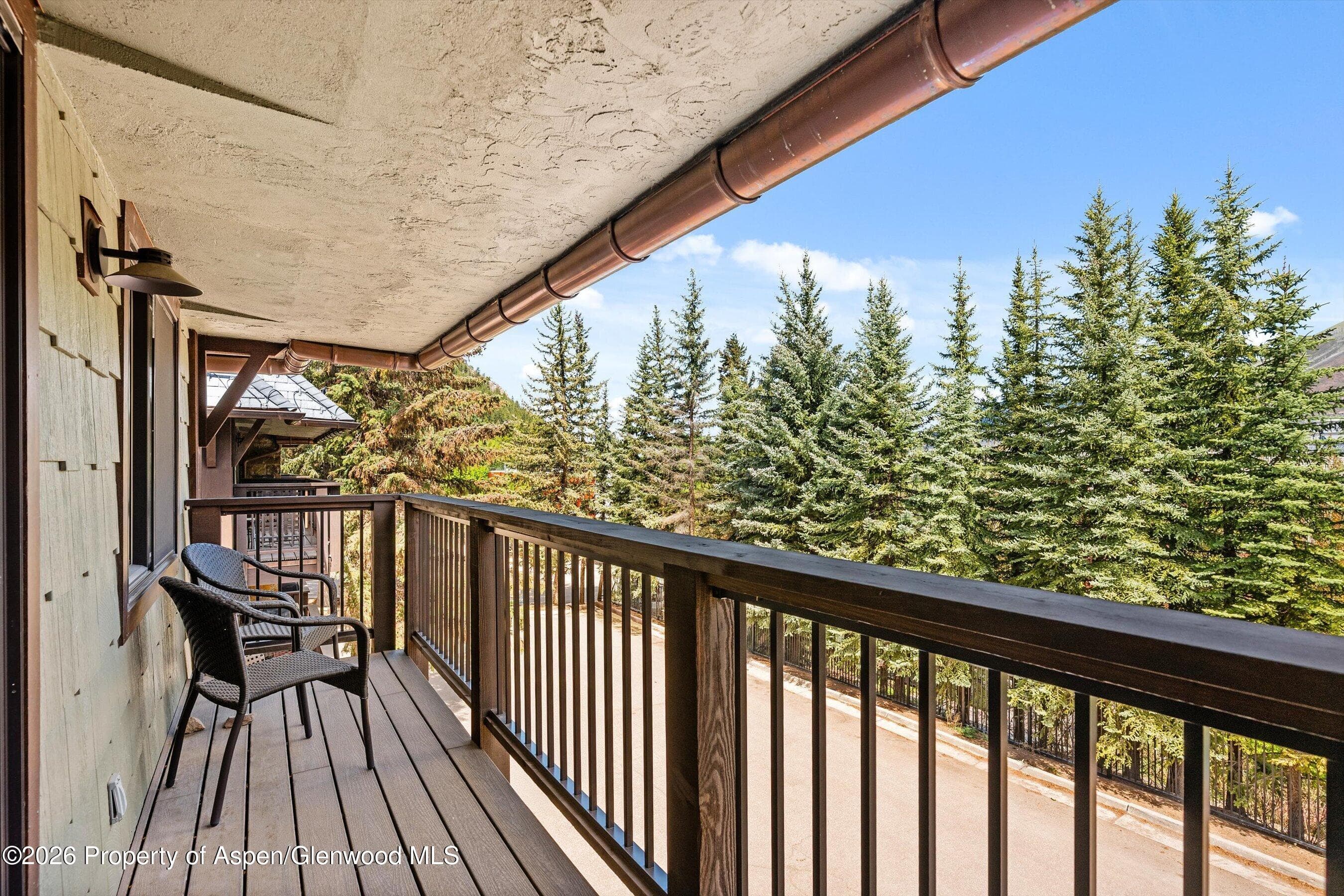 650 S Monarch Street 7, Aspen, CO 81611 - Photo 29
