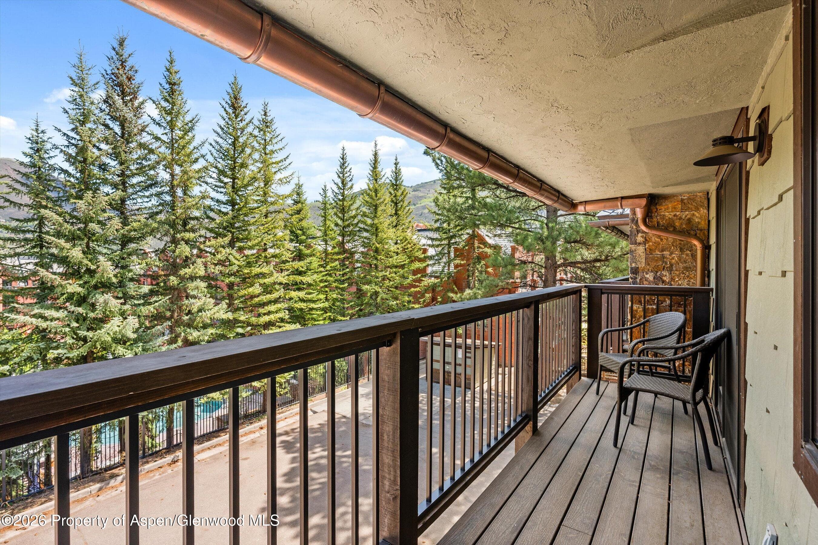 650 S Monarch Street 7, Aspen, CO 81611 - Photo 30