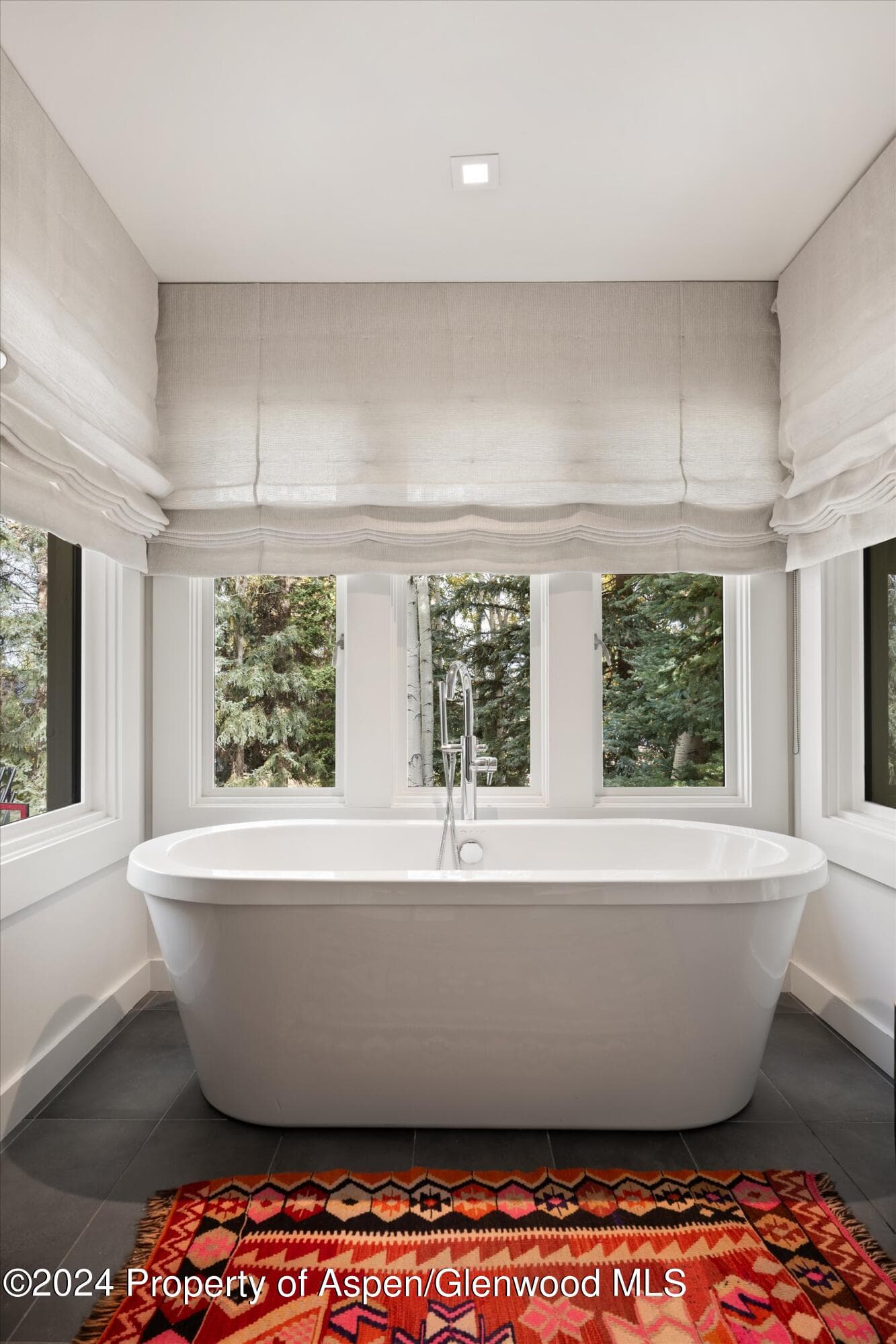 721 Meadowood Drive, Aspen, CO 81611 - Photo 22