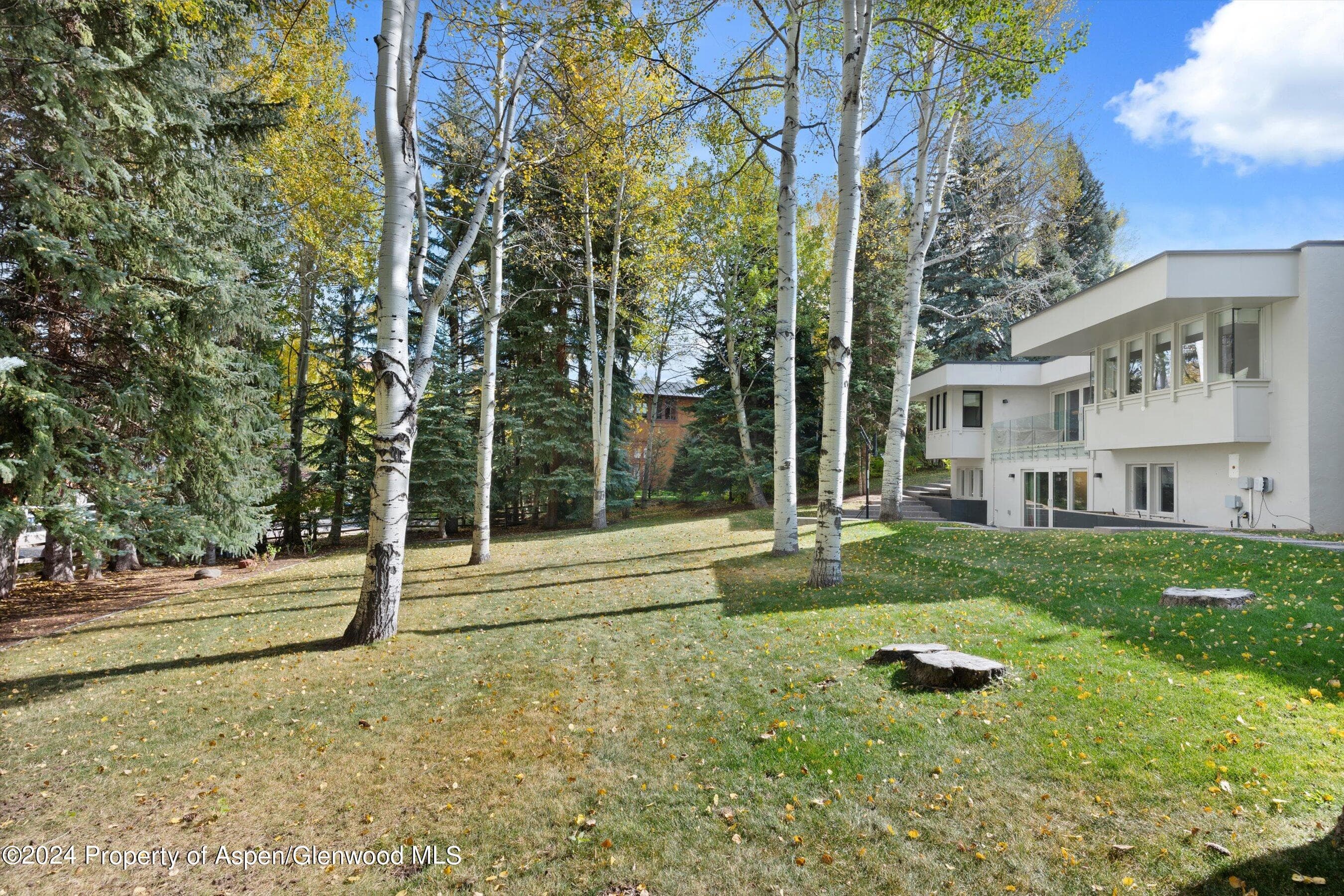721 Meadowood Drive, Aspen, CO 81611 - Photo 41