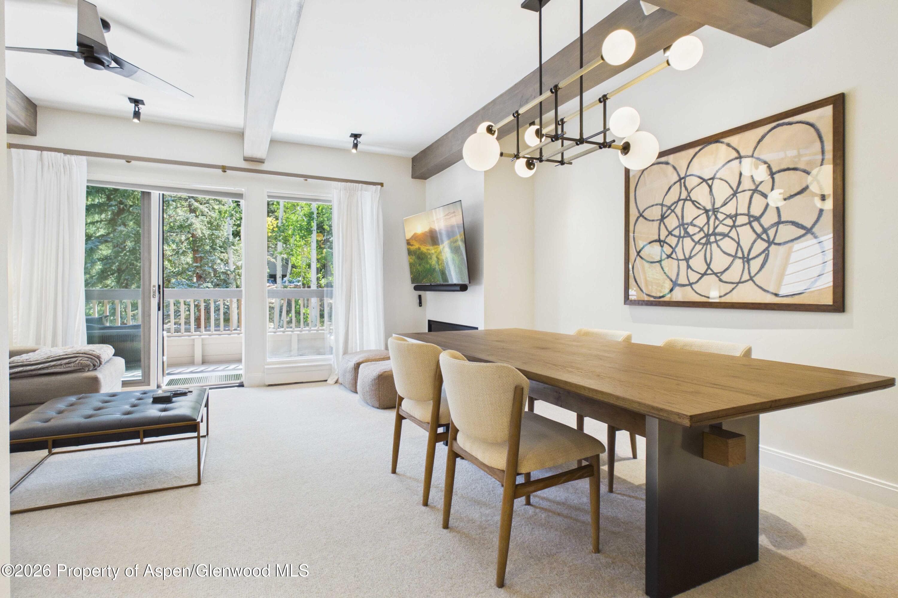 610 S West End Street K203, Aspen, CO 81611 - Photo 6