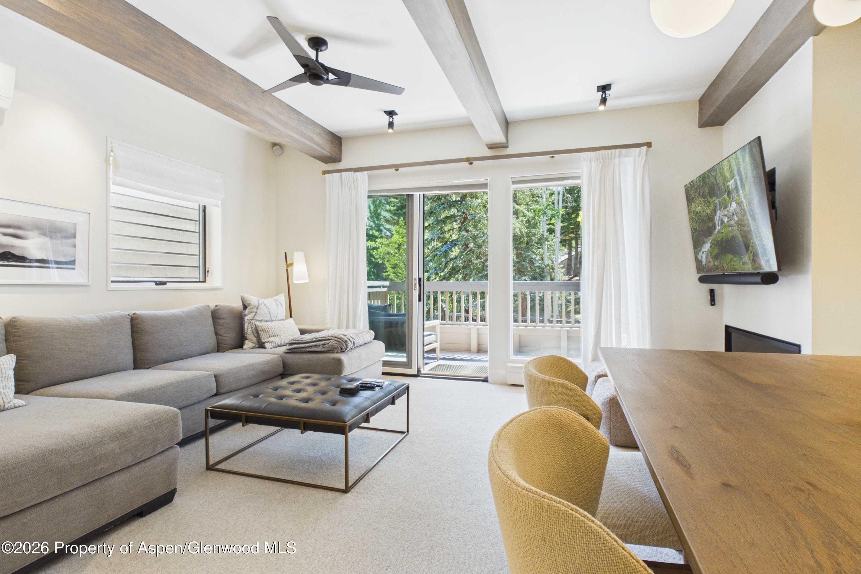 610 S West End Street K203, Aspen, CO 81611 - Photo 7