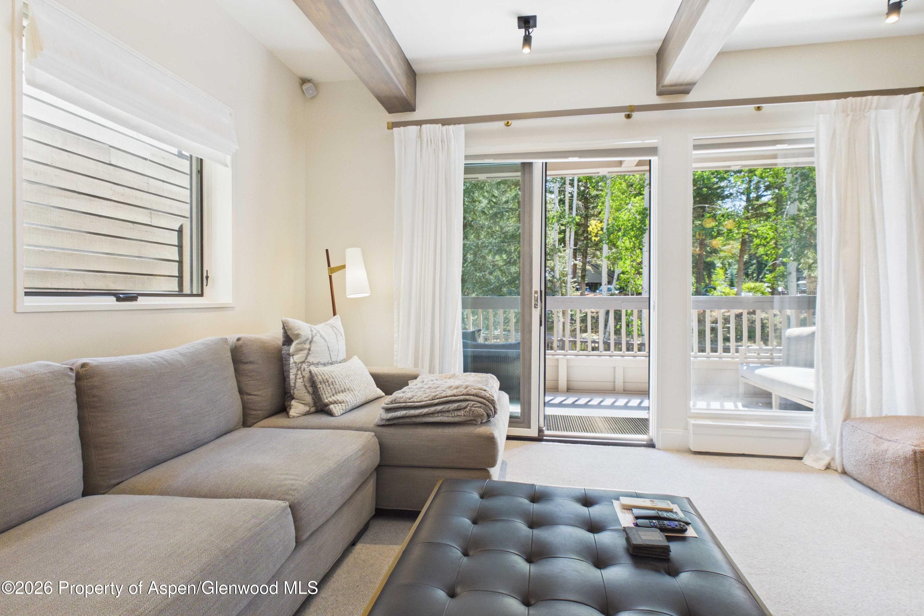 610 S West End Street K203, Aspen, CO 81611 - Photo 8
