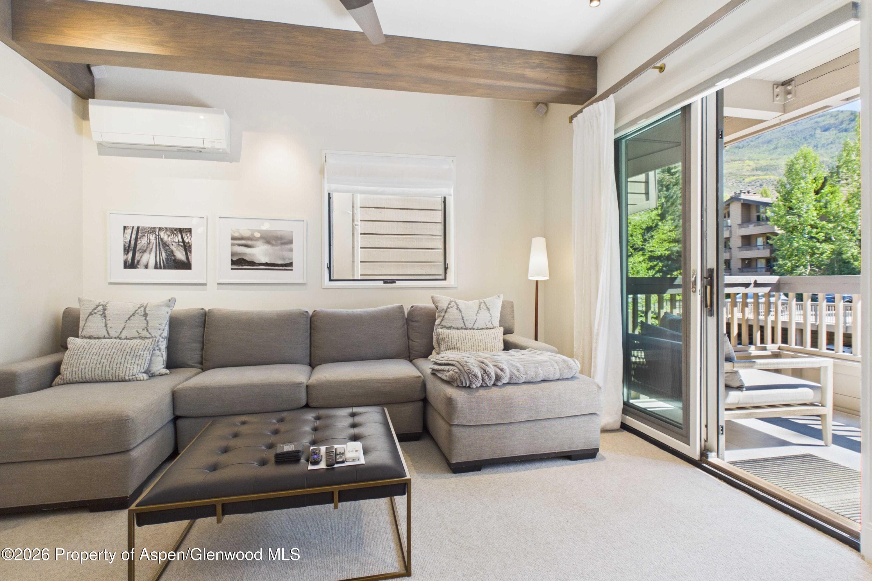 610 S West End Street K203, Aspen, CO 81611 - Photo 10