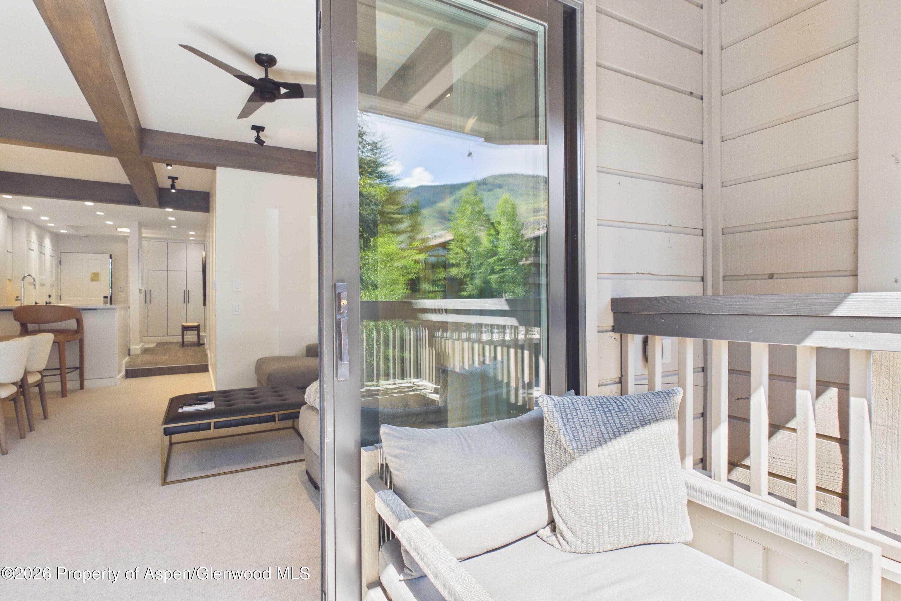 610 S West End Street K203, Aspen, CO 81611 - Photo 12