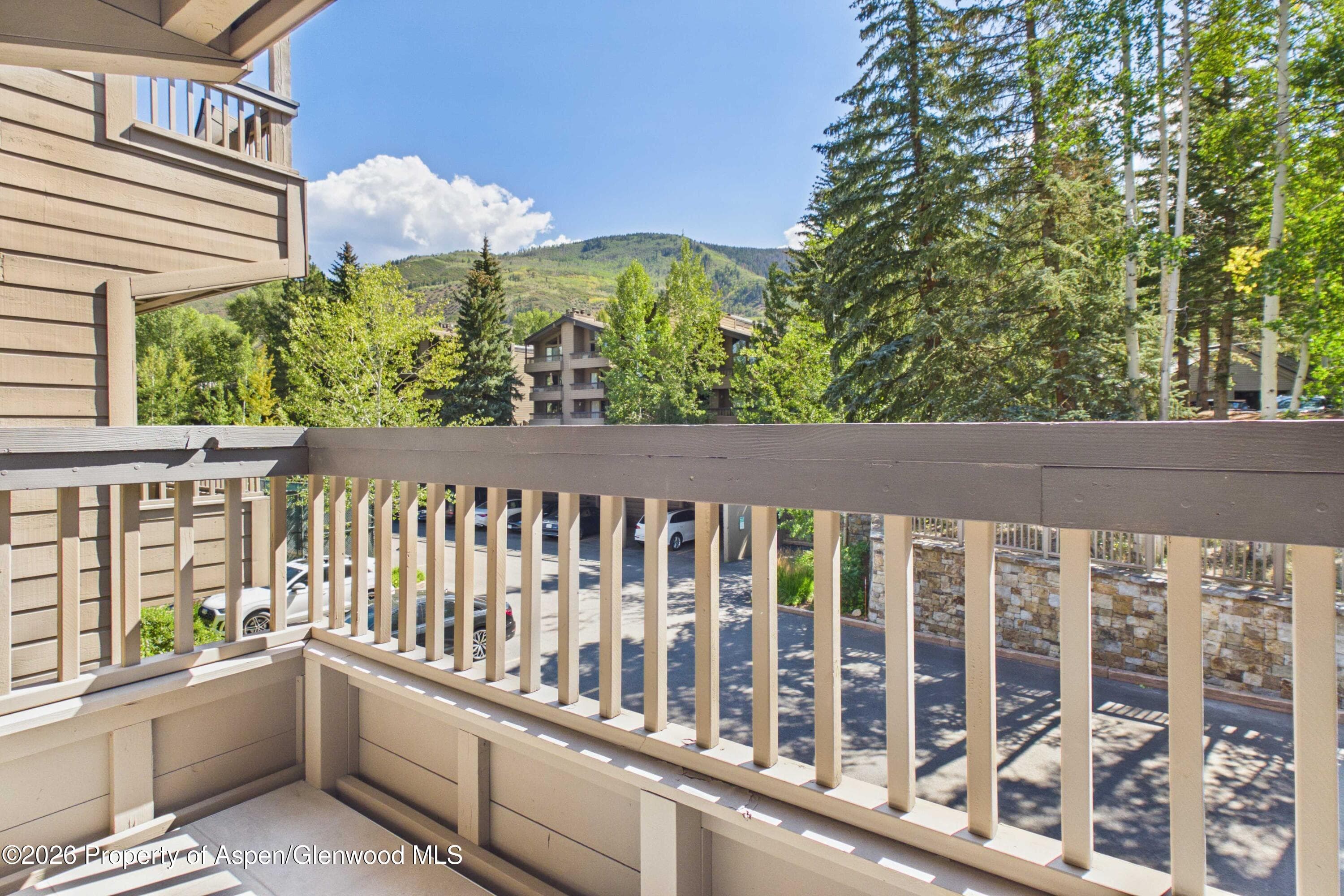 610 S West End Street K203, Aspen, CO 81611 - Photo 13