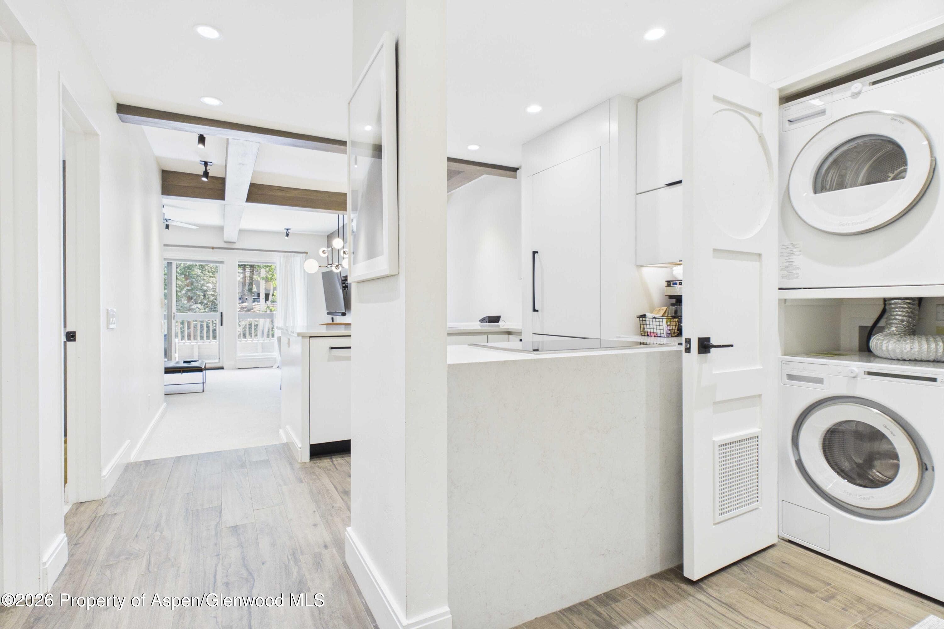 610 S West End Street K203, Aspen, CO 81611 - Photo 5