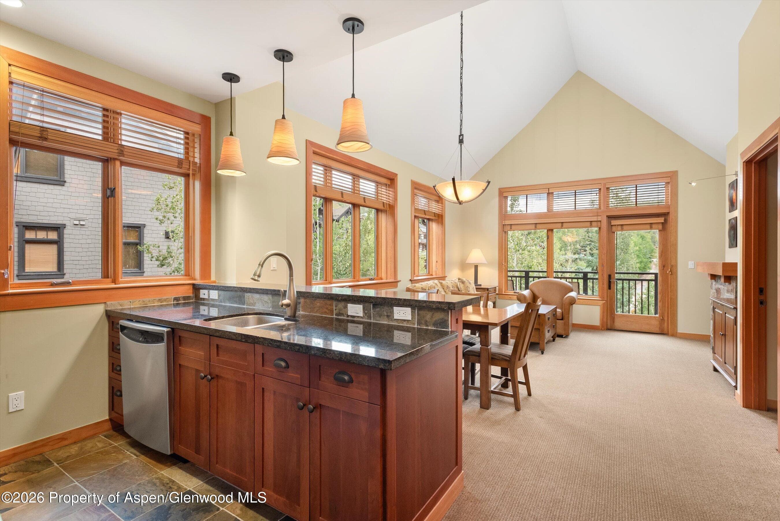 60 Carriage Way 3321, Snowmass Village, CO 81615 - Photo 10