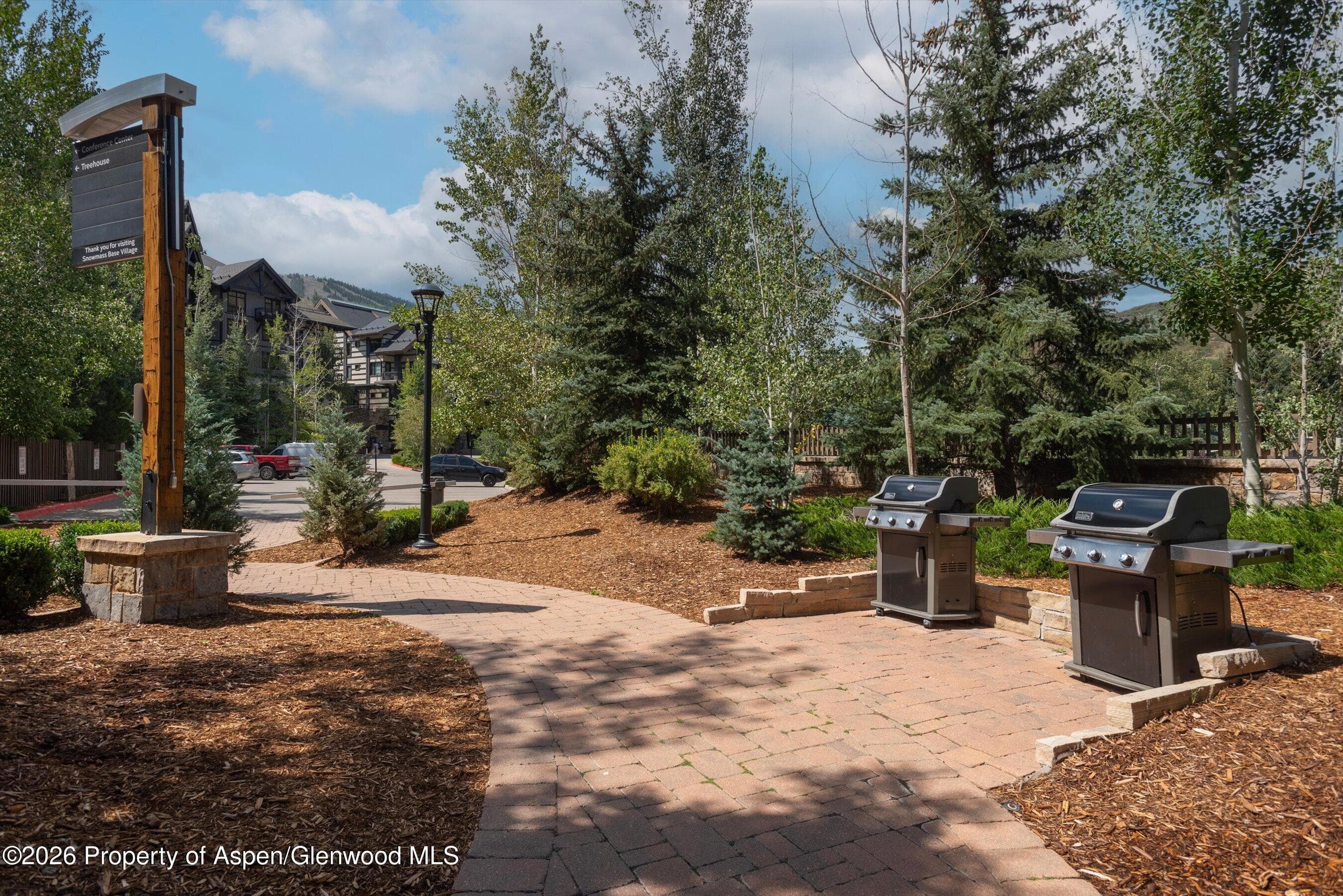 60 Carriage Way 3321, Snowmass Village, CO 81615 - Photo 16