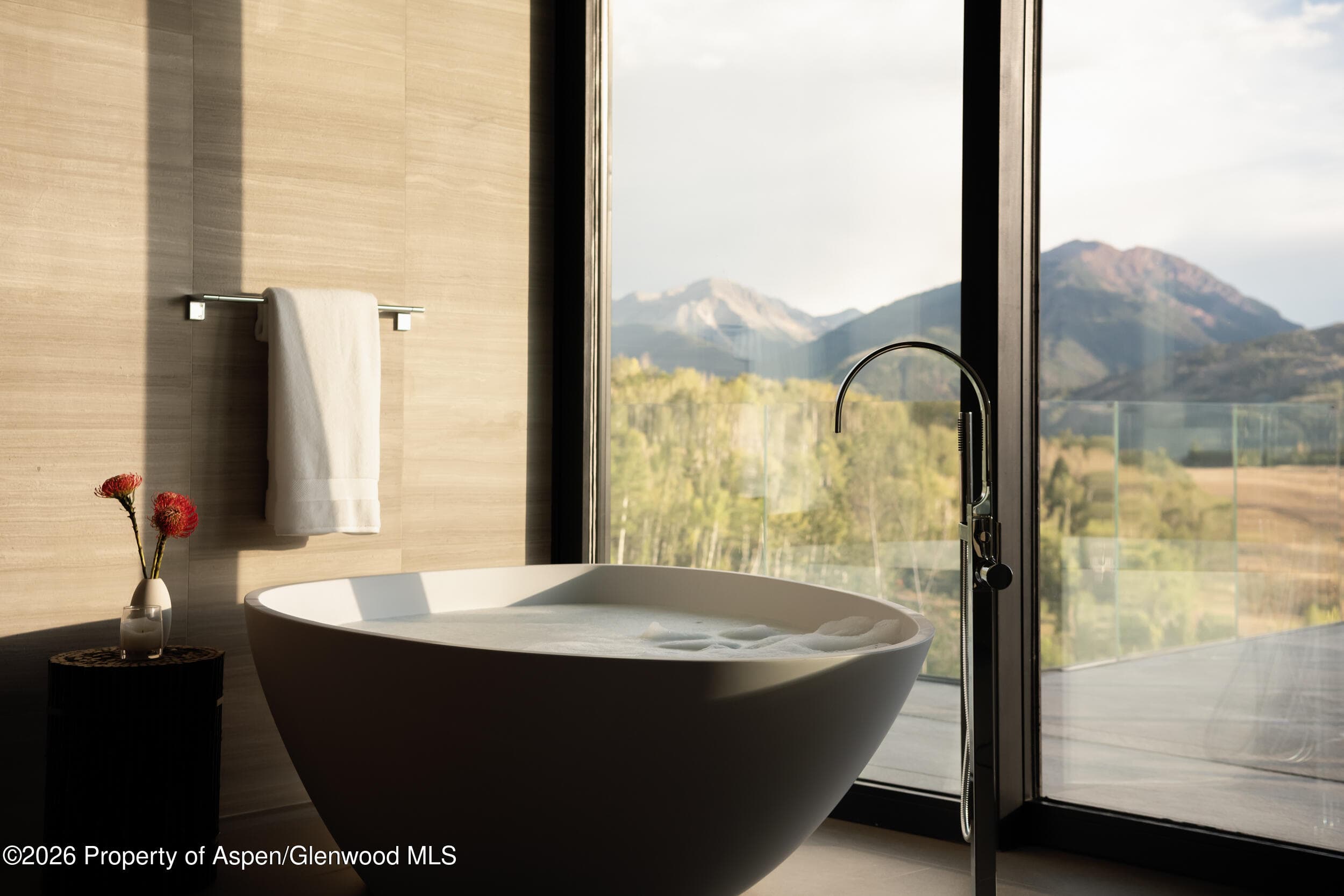 401 Carroll Drive, Aspen, CO 81611 - Photo 26