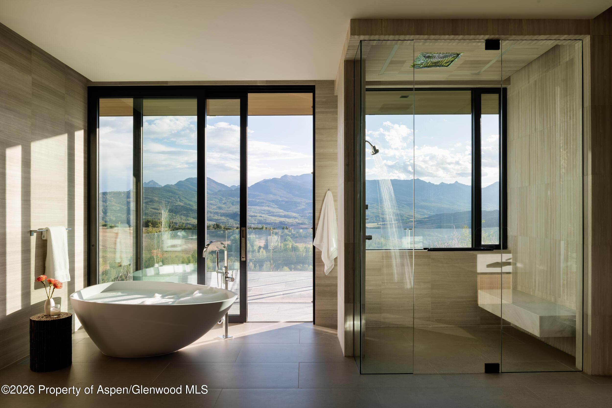 401 Carroll Drive, Aspen, CO 81611 - Photo 25
