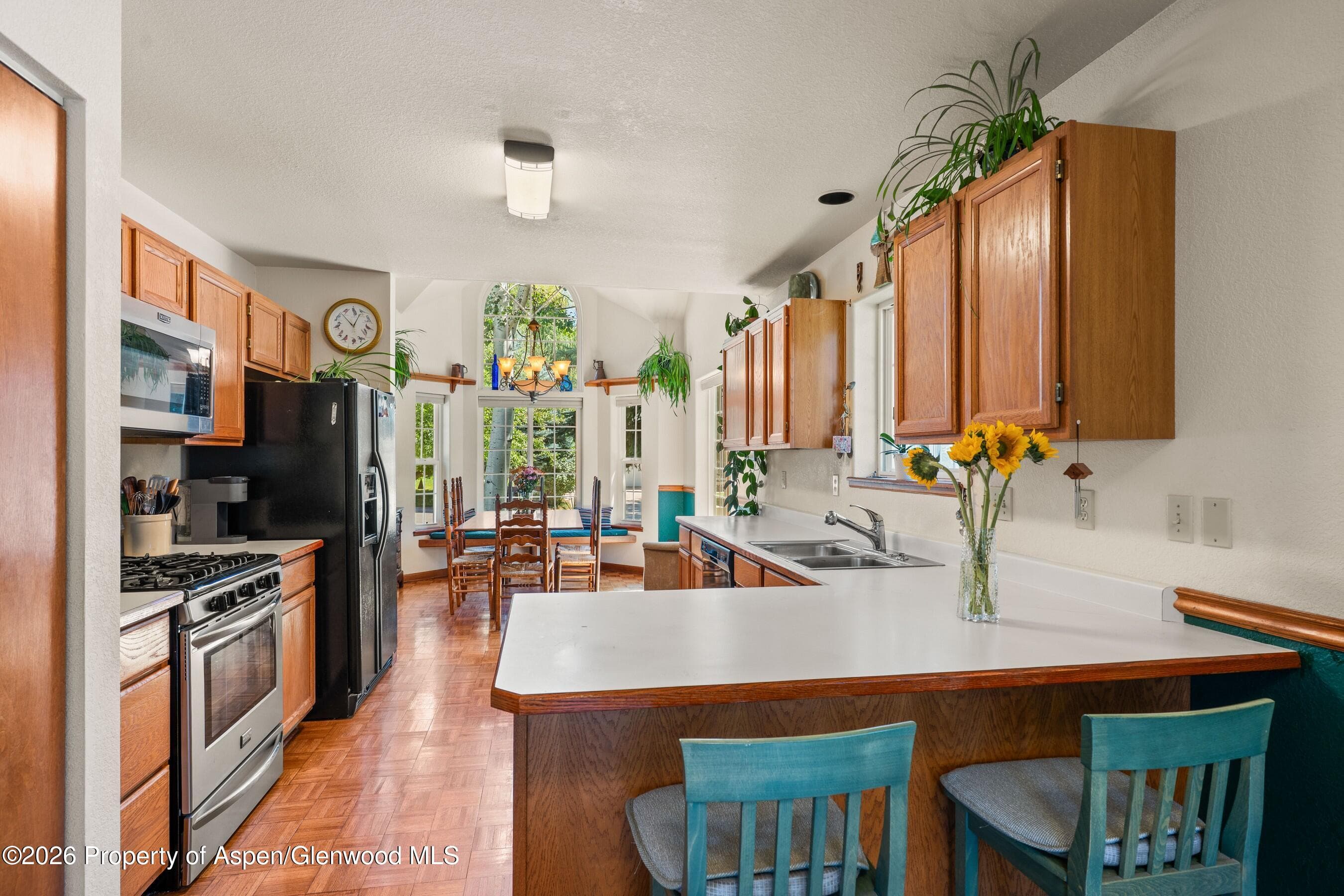 19 Eagles Nest Court, Carbondale, CO 81623 - Photo 10