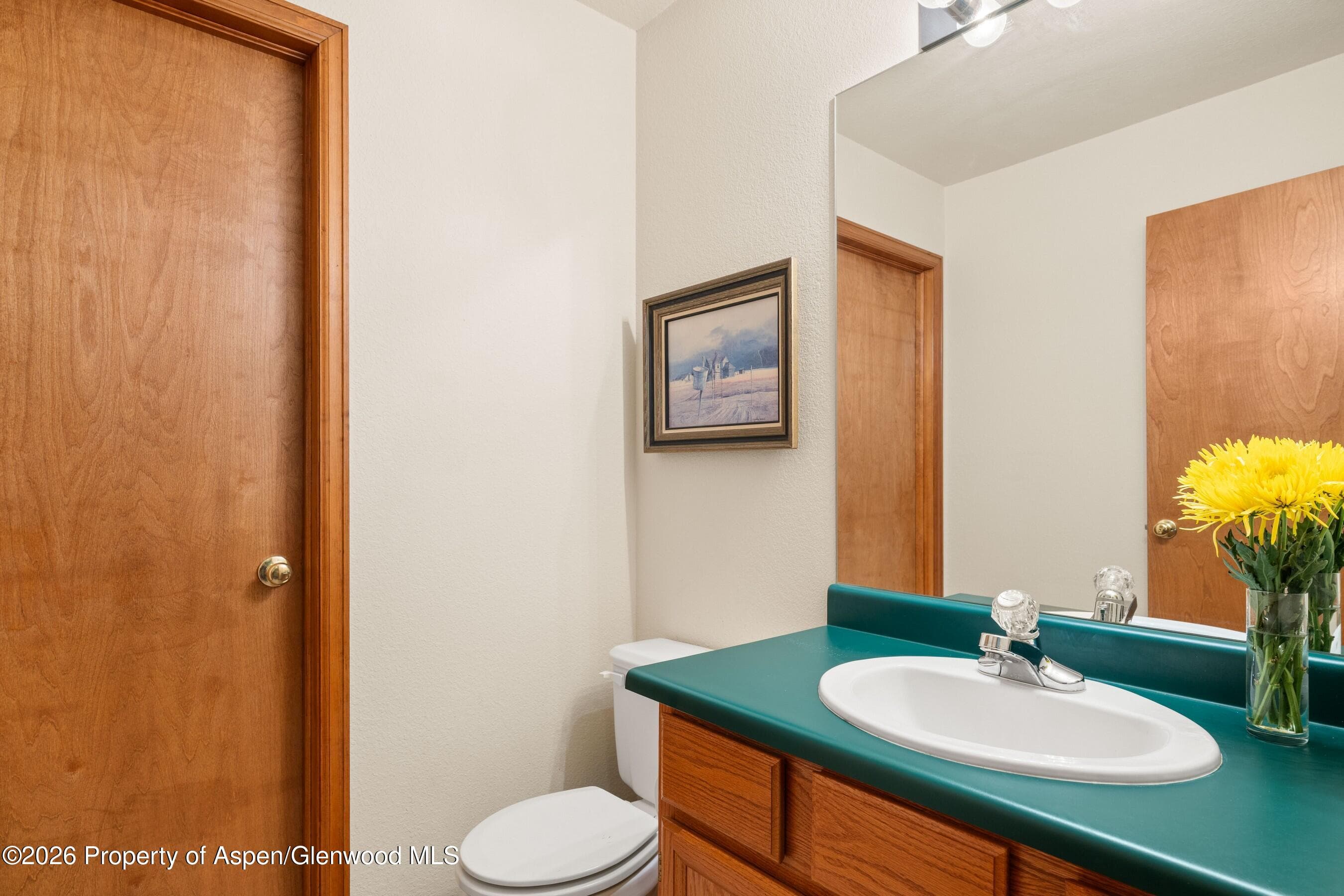 19 Eagles Nest Court, Carbondale, CO 81623 - Photo 18