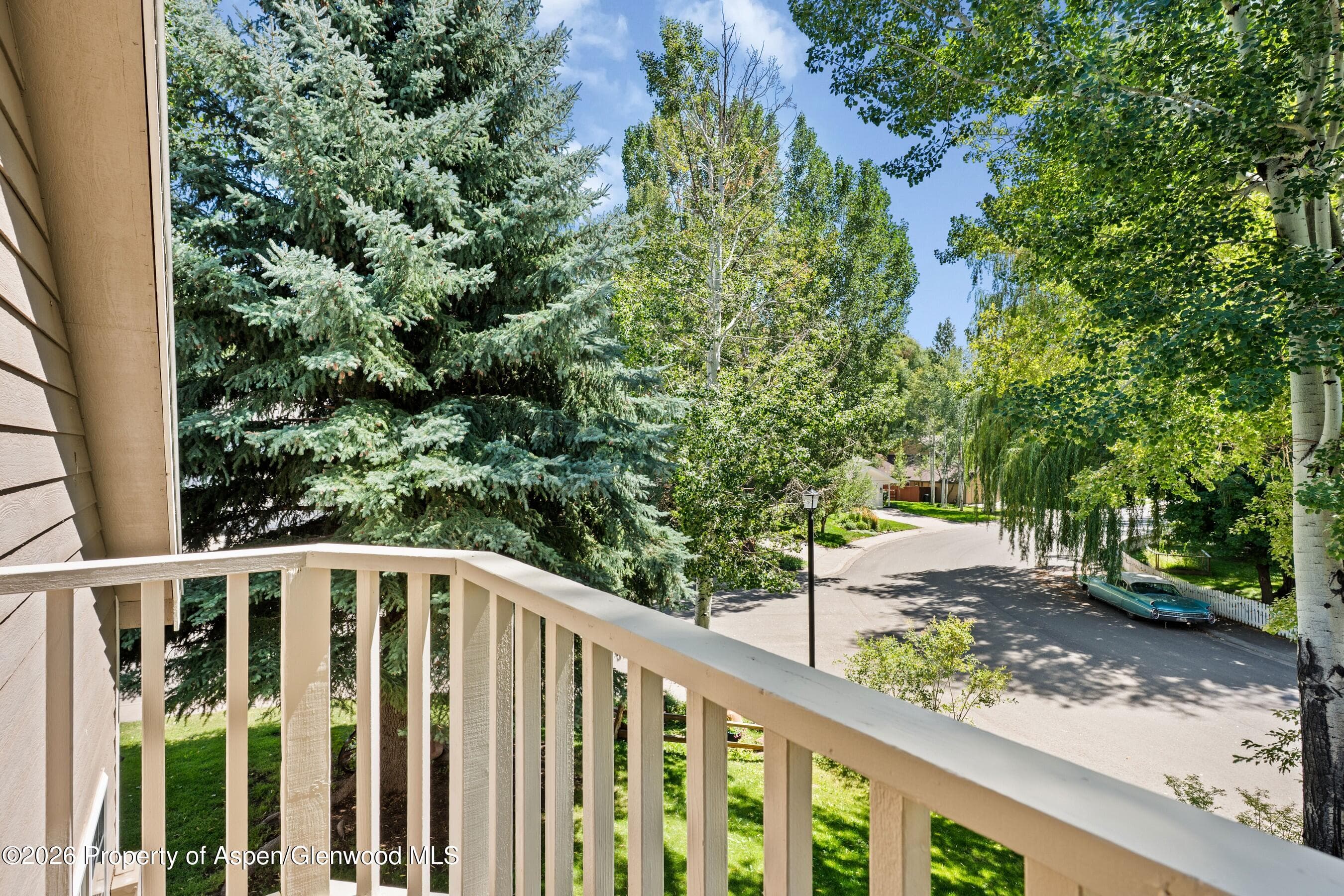 19 Eagles Nest Court, Carbondale, CO 81623 - Photo 20