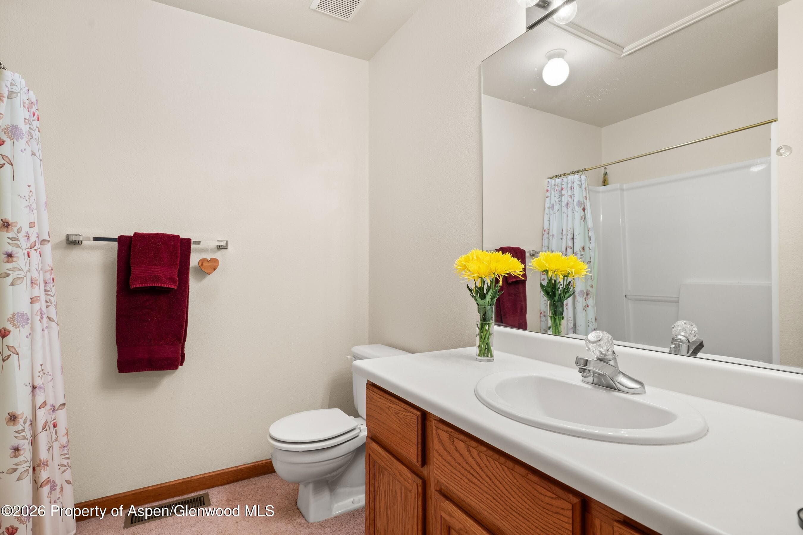 19 Eagles Nest Court, Carbondale, CO 81623 - Photo 22