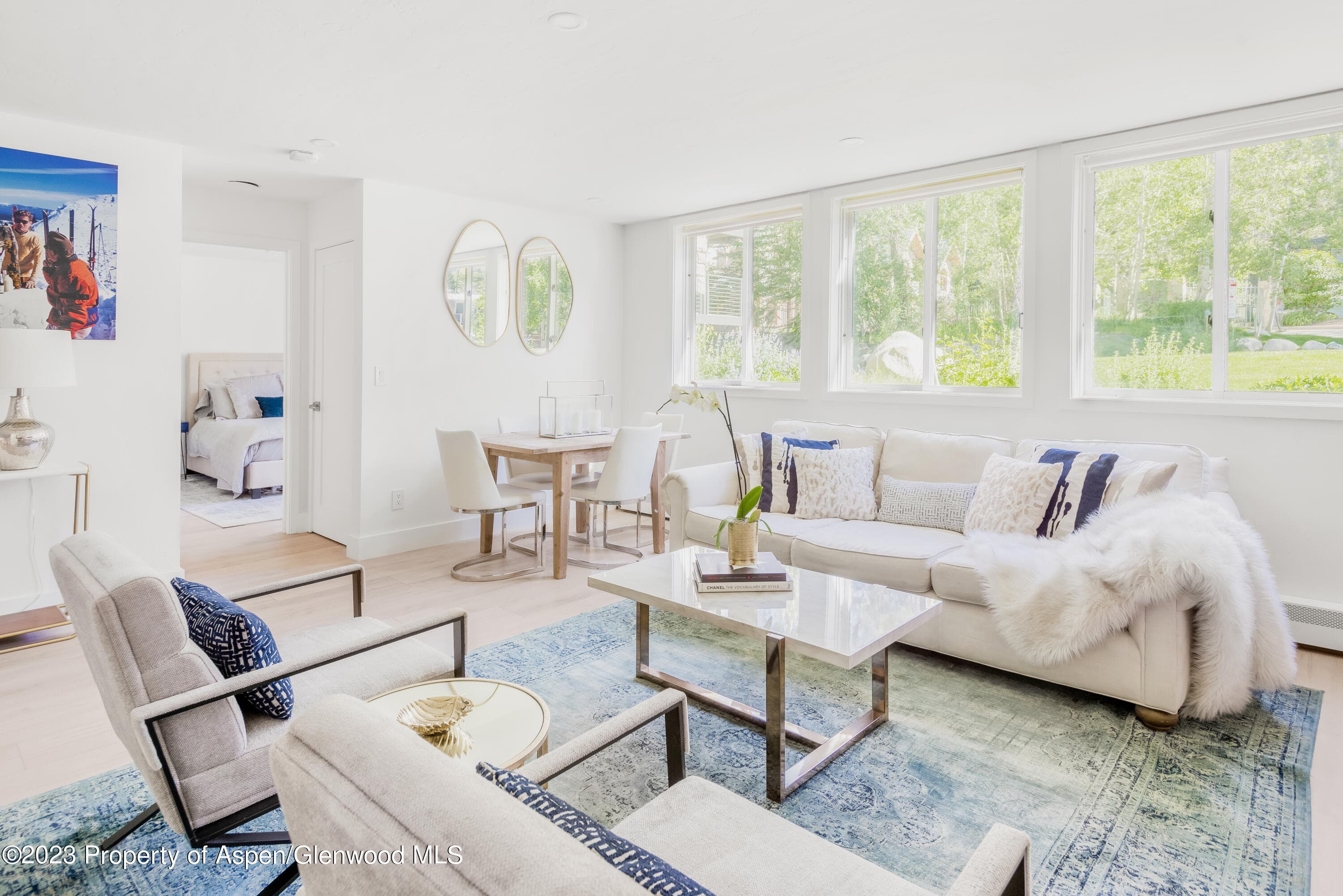 1020 E Durant Avenue 101, Aspen, CO 81611 - Photo 3