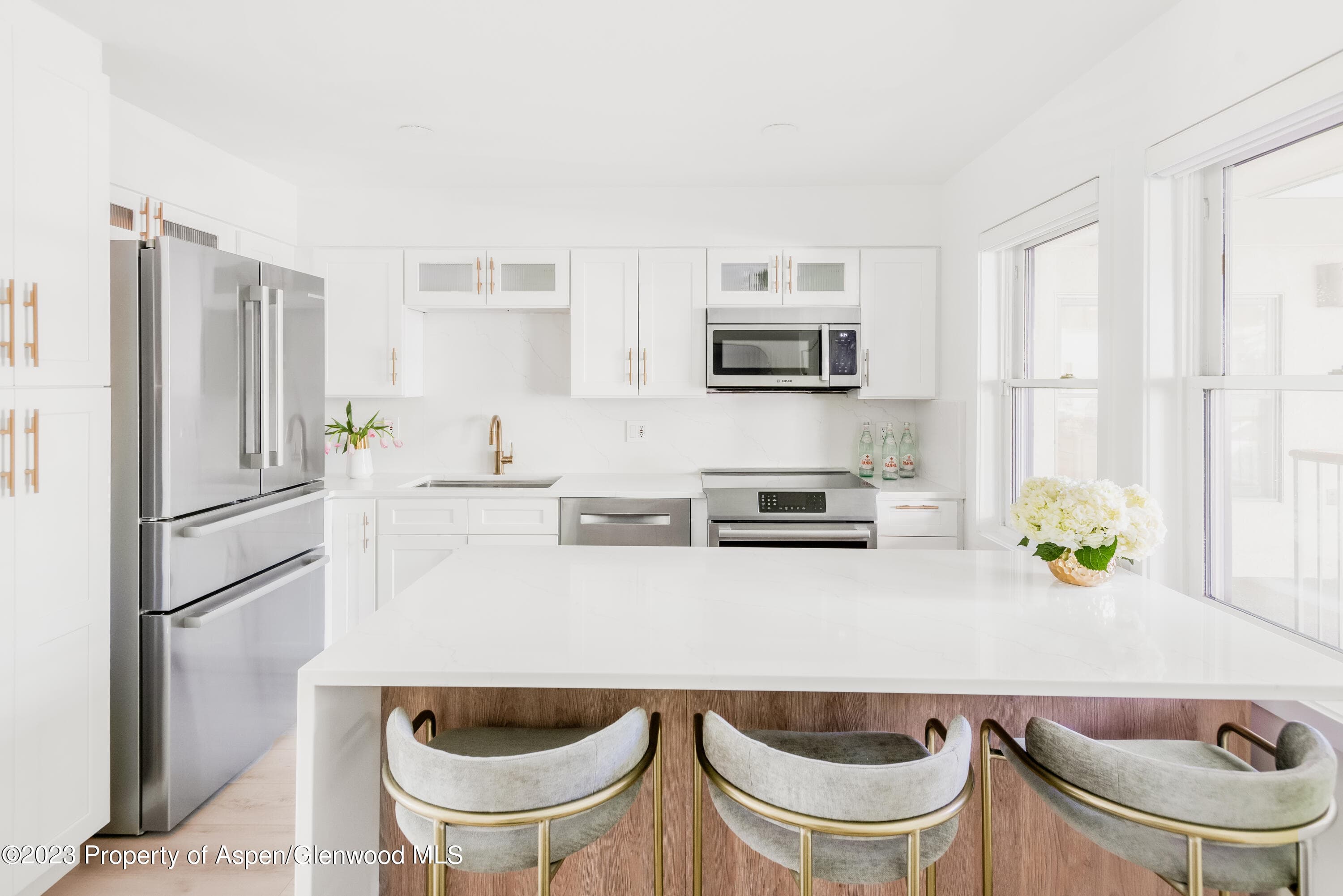 1020 E Durant Avenue 101, Aspen, CO 81611 - Photo 6