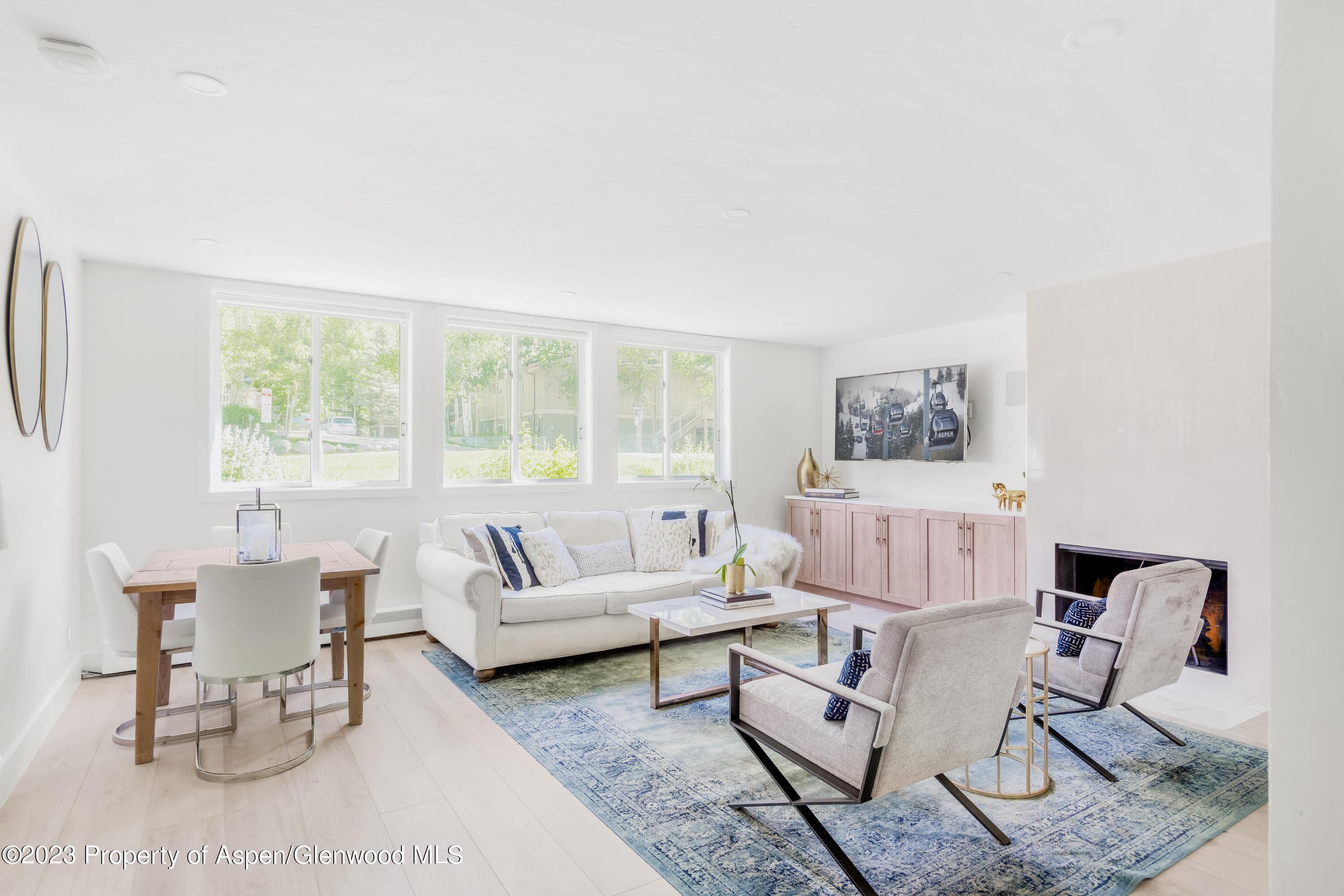 1020 E Durant Avenue 101, Aspen, CO 81611 - Photo 4