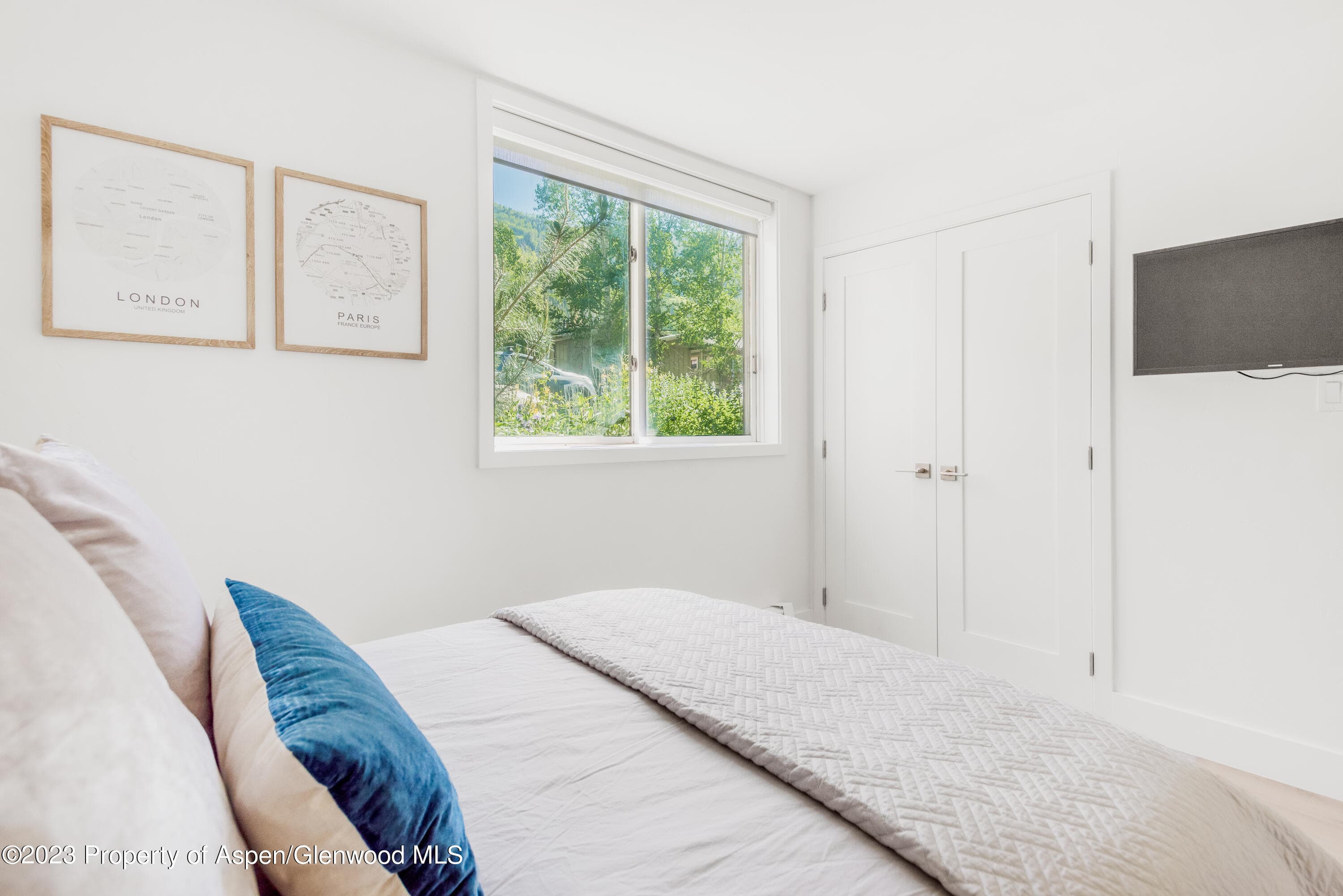 1020 E Durant Avenue 101, Aspen, CO 81611 - Photo 10