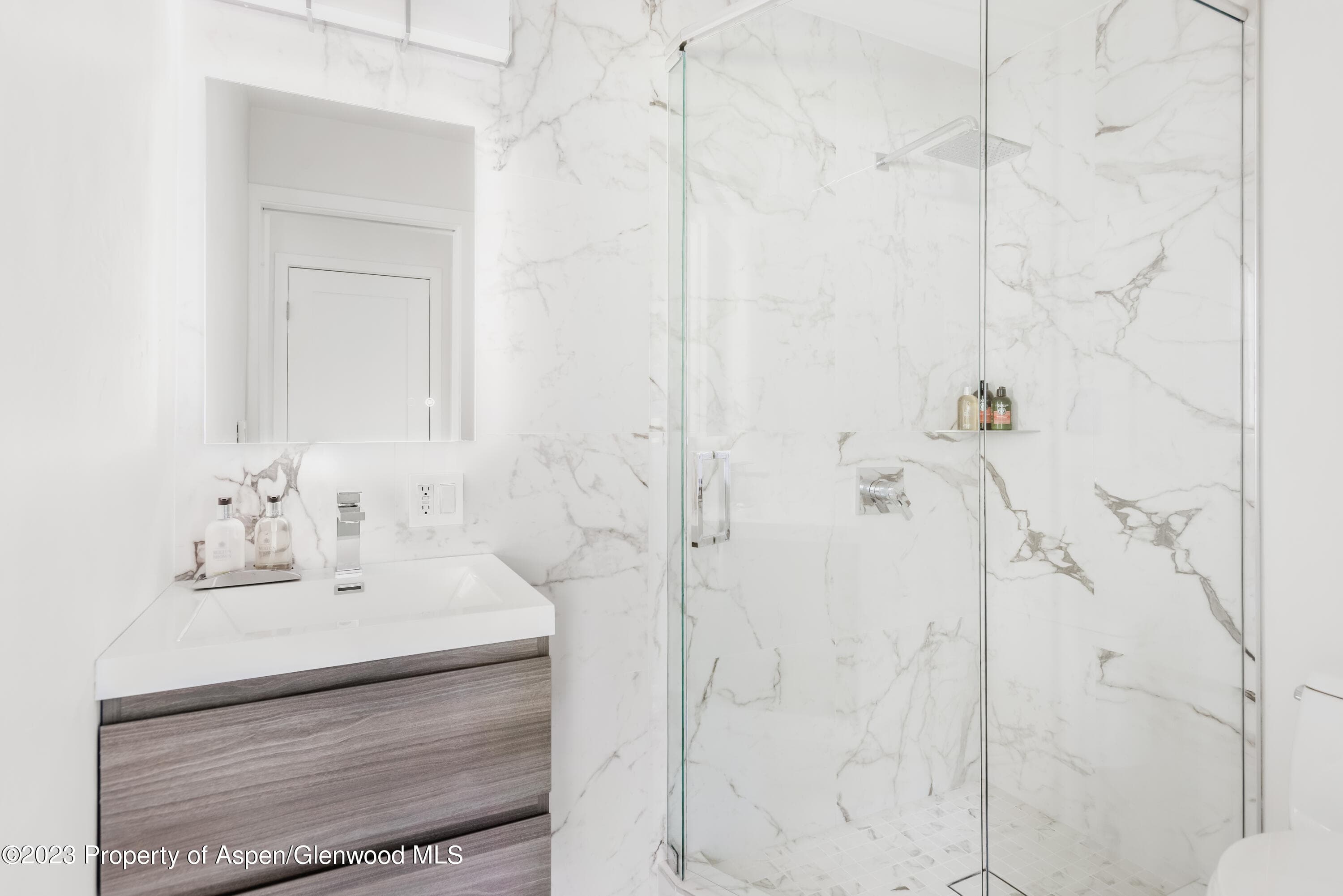 1020 E Durant Avenue 101, Aspen, CO 81611 - Photo 12