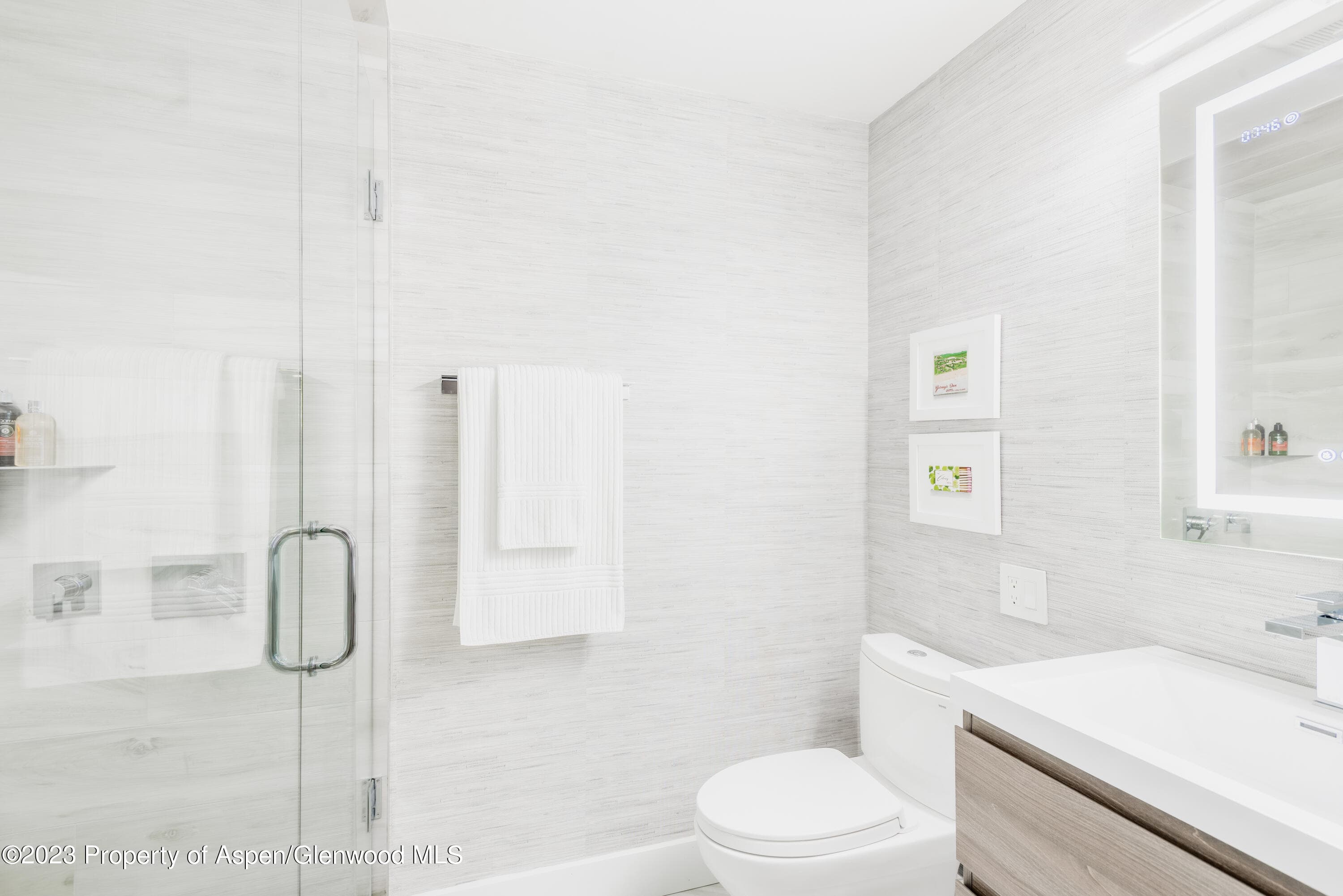 1020 E Durant Avenue 101, Aspen, CO 81611 - Photo 11