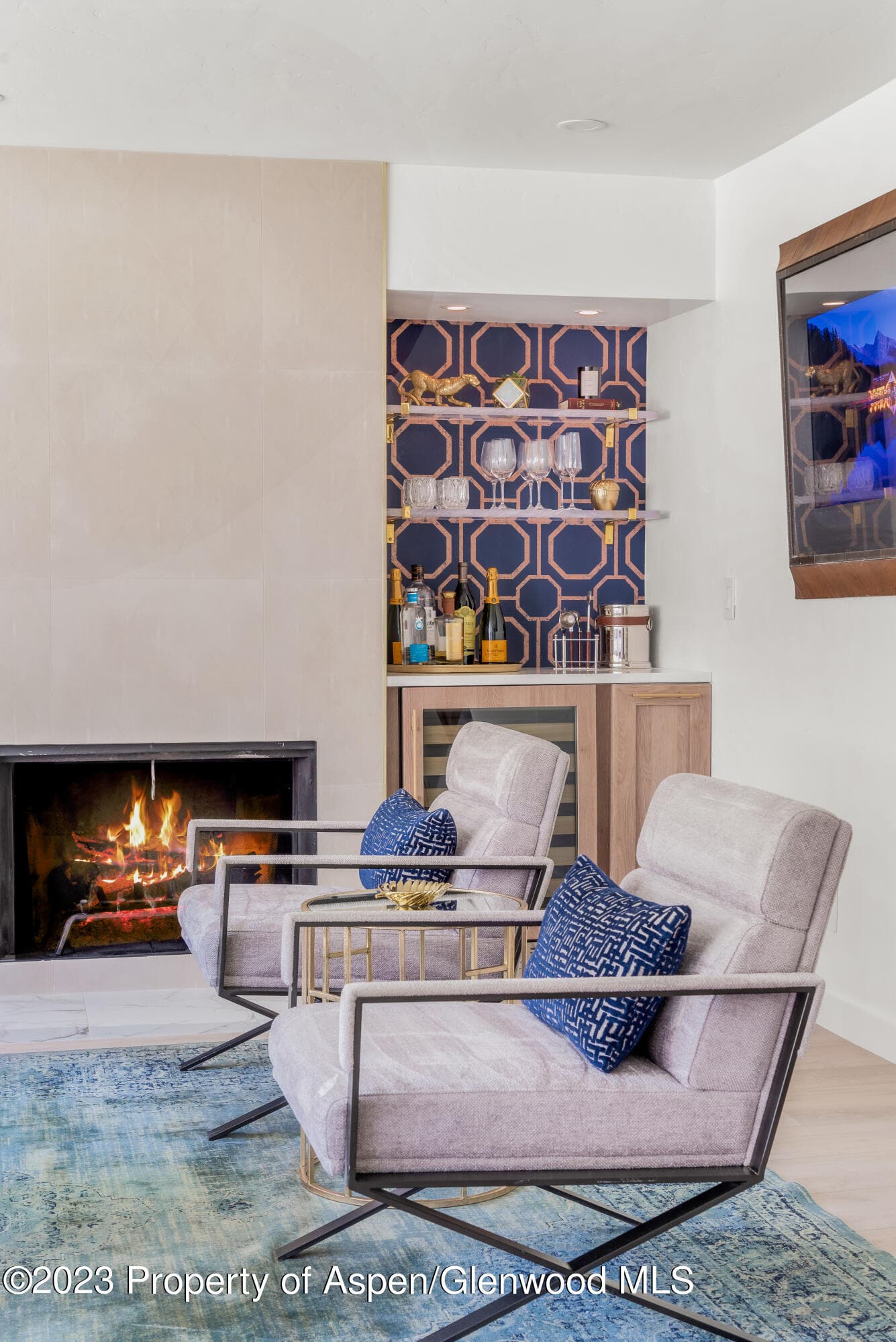 1020 E Durant Avenue 101, Aspen, CO 81611 - Photo 2