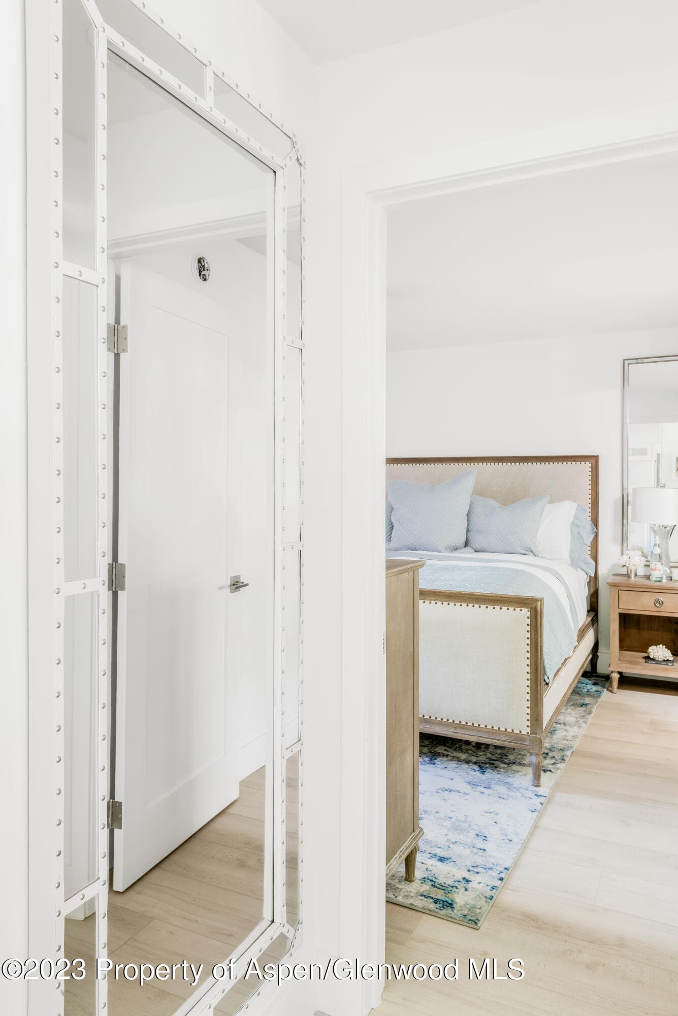 1020 E Durant Avenue 101, Aspen, CO 81611 - Photo 8