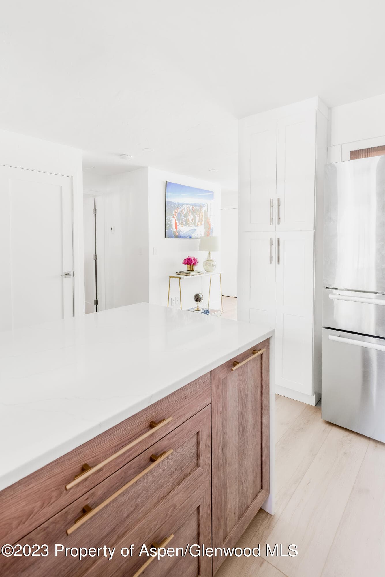 1020 E Durant Avenue 101, Aspen, CO 81611 - Photo 7