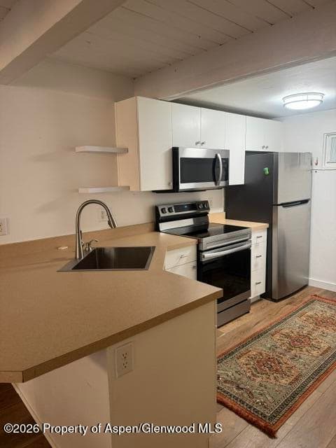 914 Waters Avenue Unit 8, Aspen, CO 81611 - Photo 9