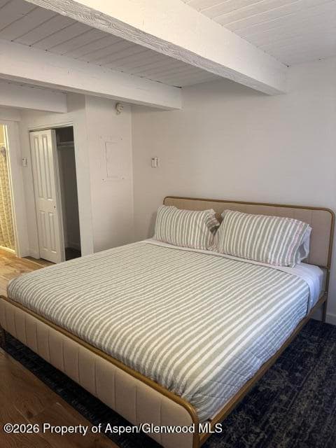914 Waters Avenue Unit 8, Aspen, CO 81611 - Photo 7