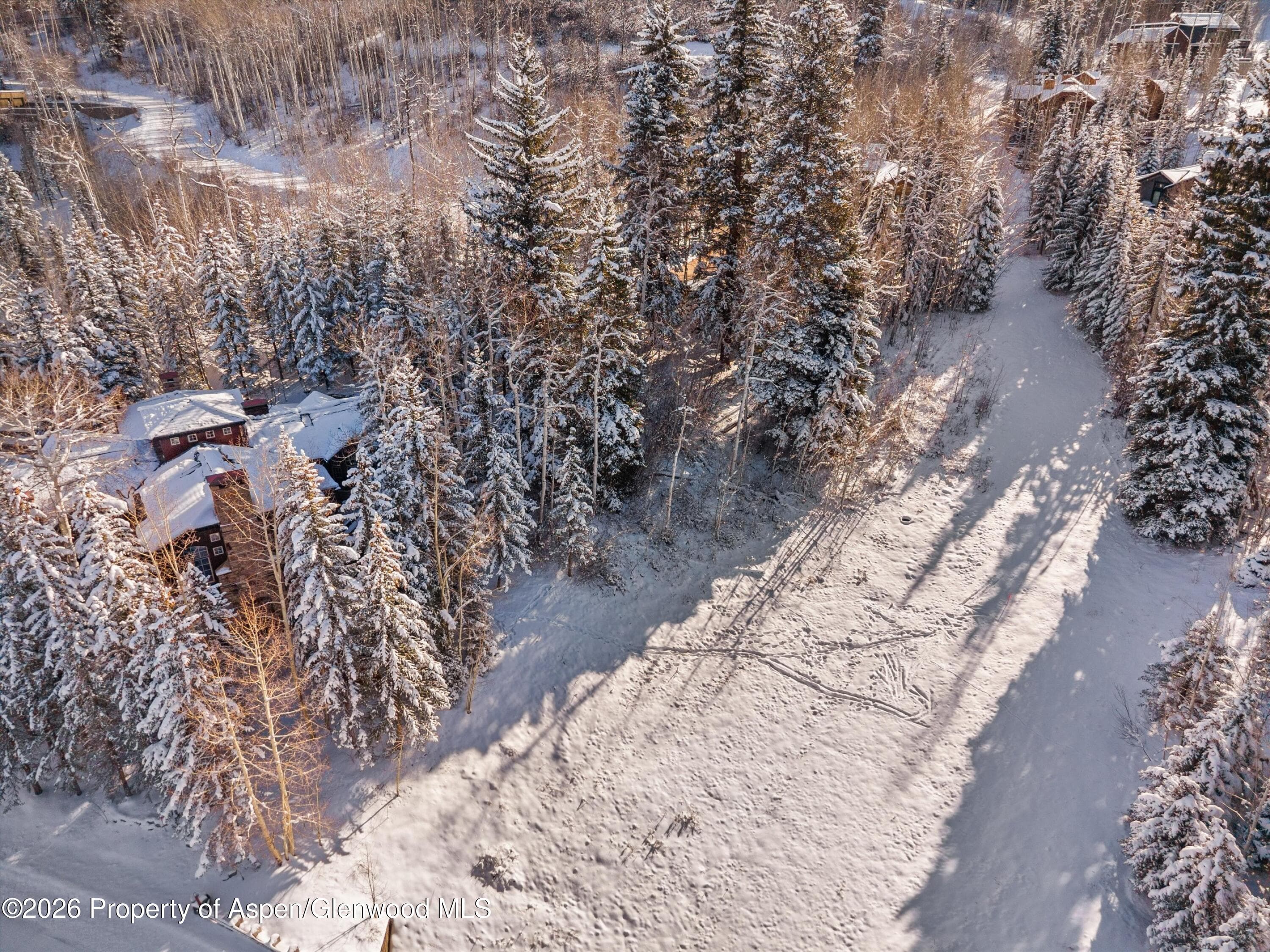 81 Spruce Ridge Lane, Snowmass Village, CO 81615 - Photo 22