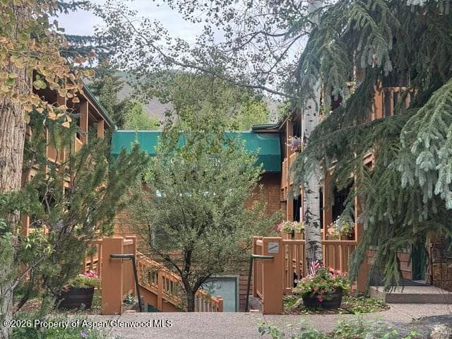 914 Waters Avenue Unit 8, Aspen, CO 81611 - Photo 3