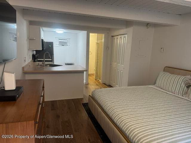 914 Waters Avenue Unit 8, Aspen, CO 81611 - Photo 2