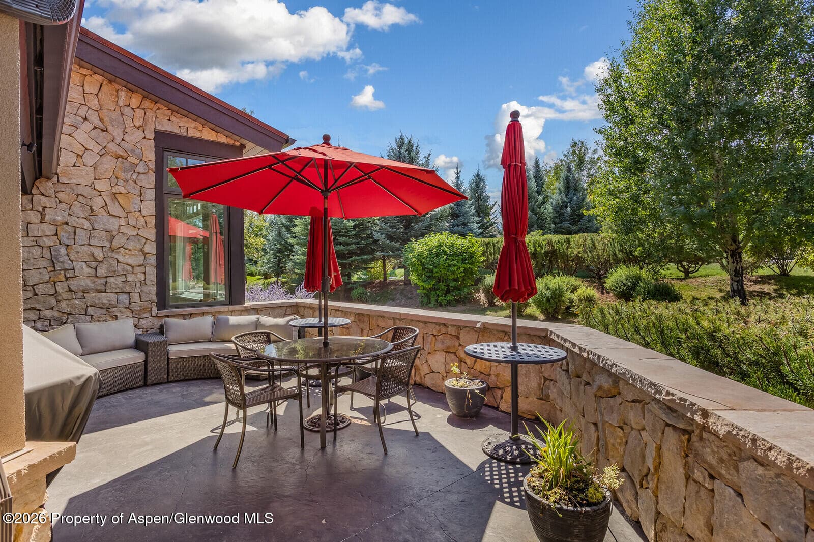 12 Mariposa, Carbondale, CO 81623 - Photo 5