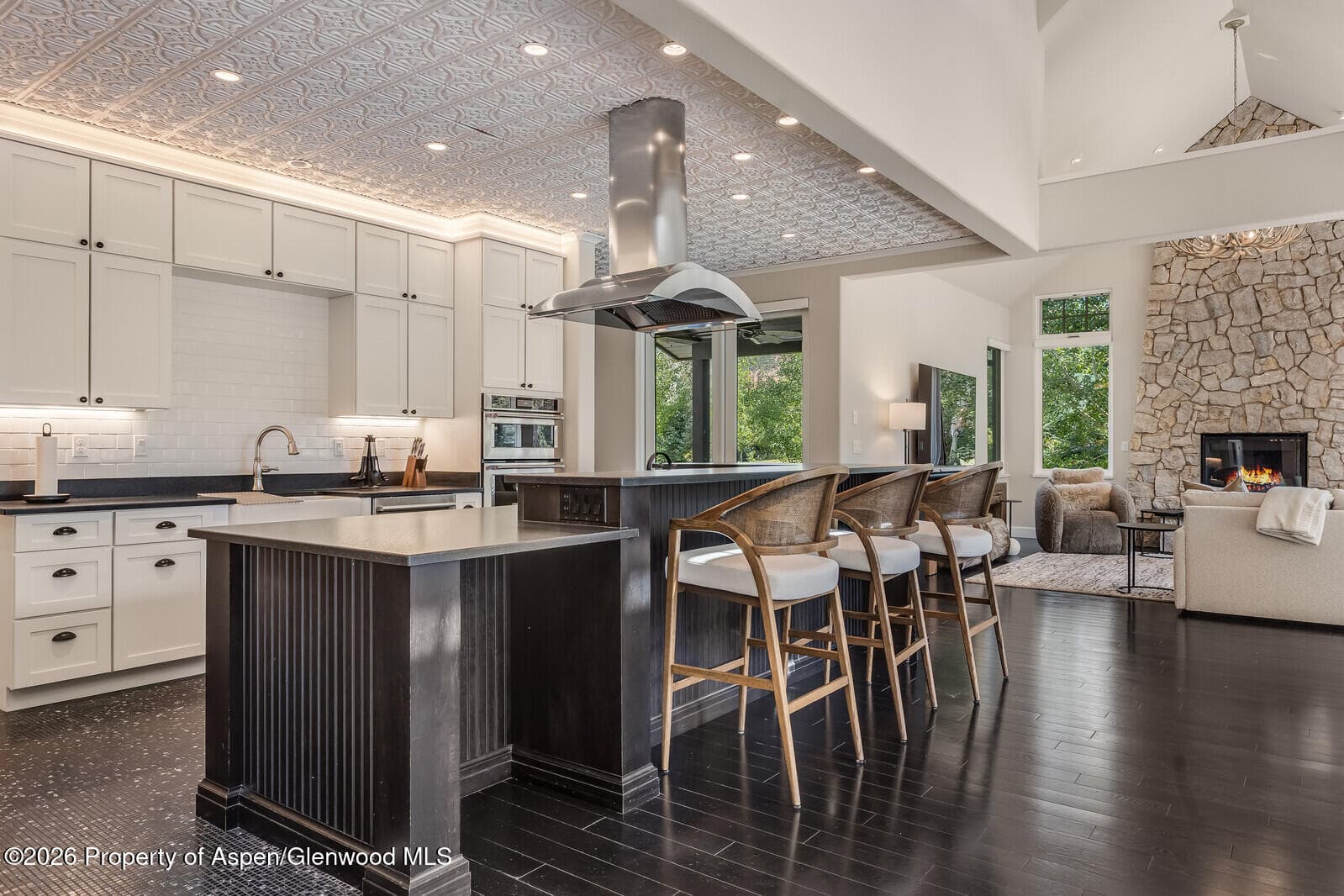 12 Mariposa, Carbondale, CO 81623 - Photo 6
