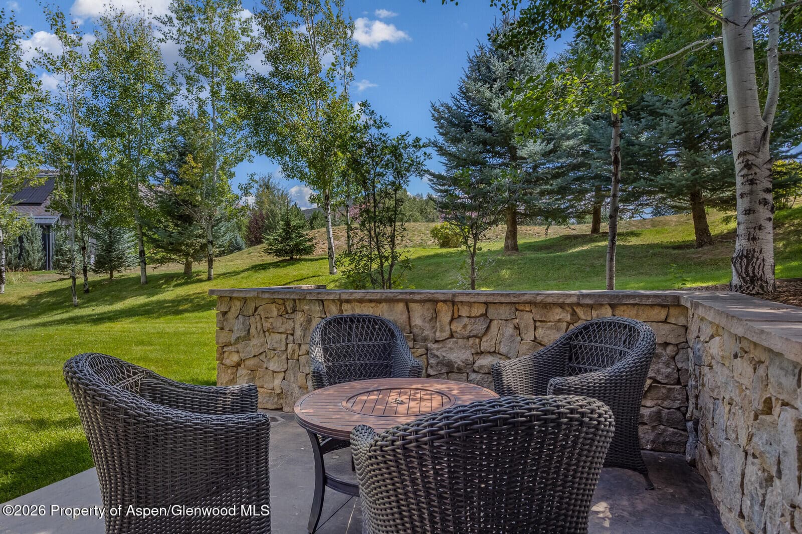 12 Mariposa, Carbondale, CO 81623 - Photo 34