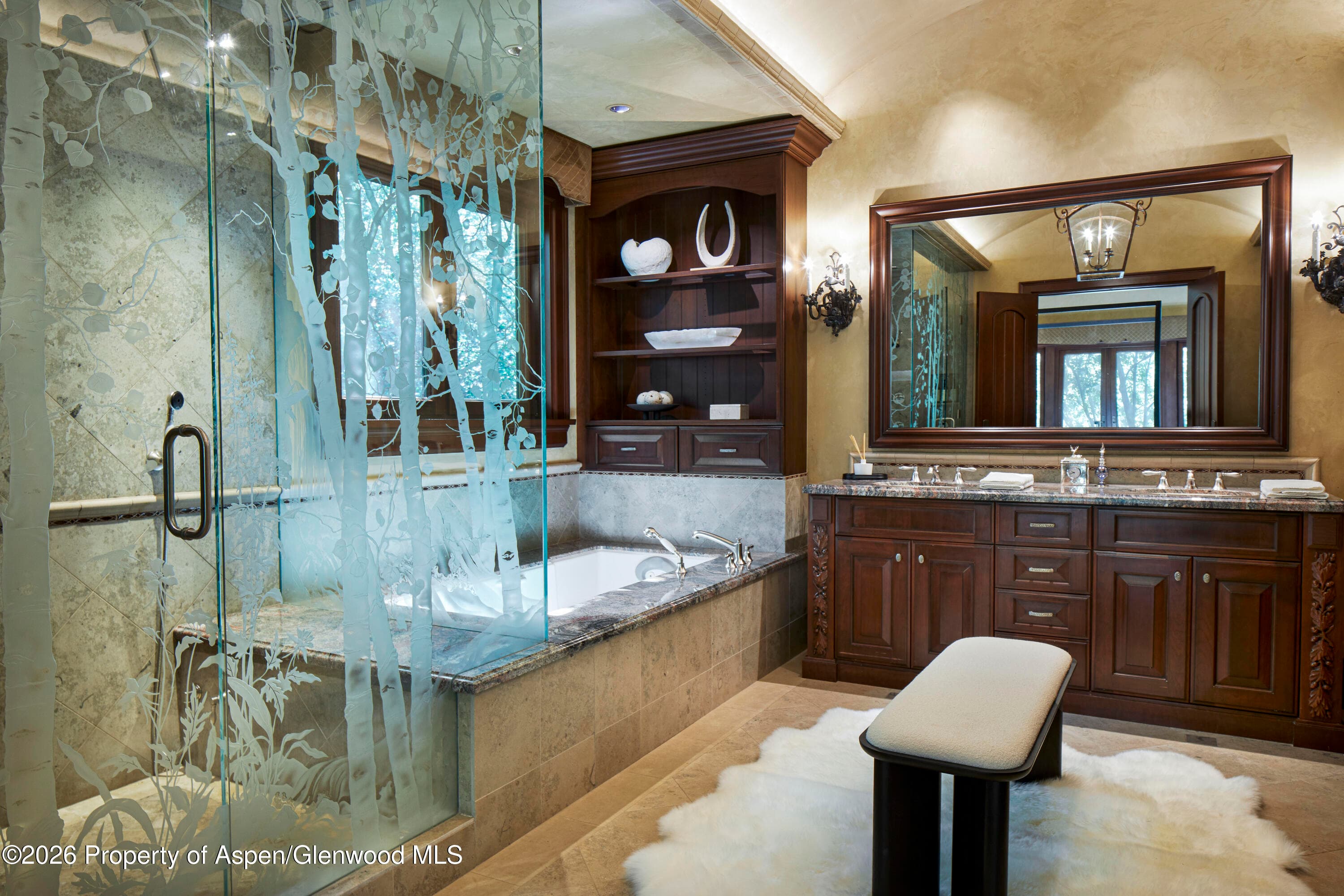 928 S Mill Street, Aspen, CO 81611 - Photo 6