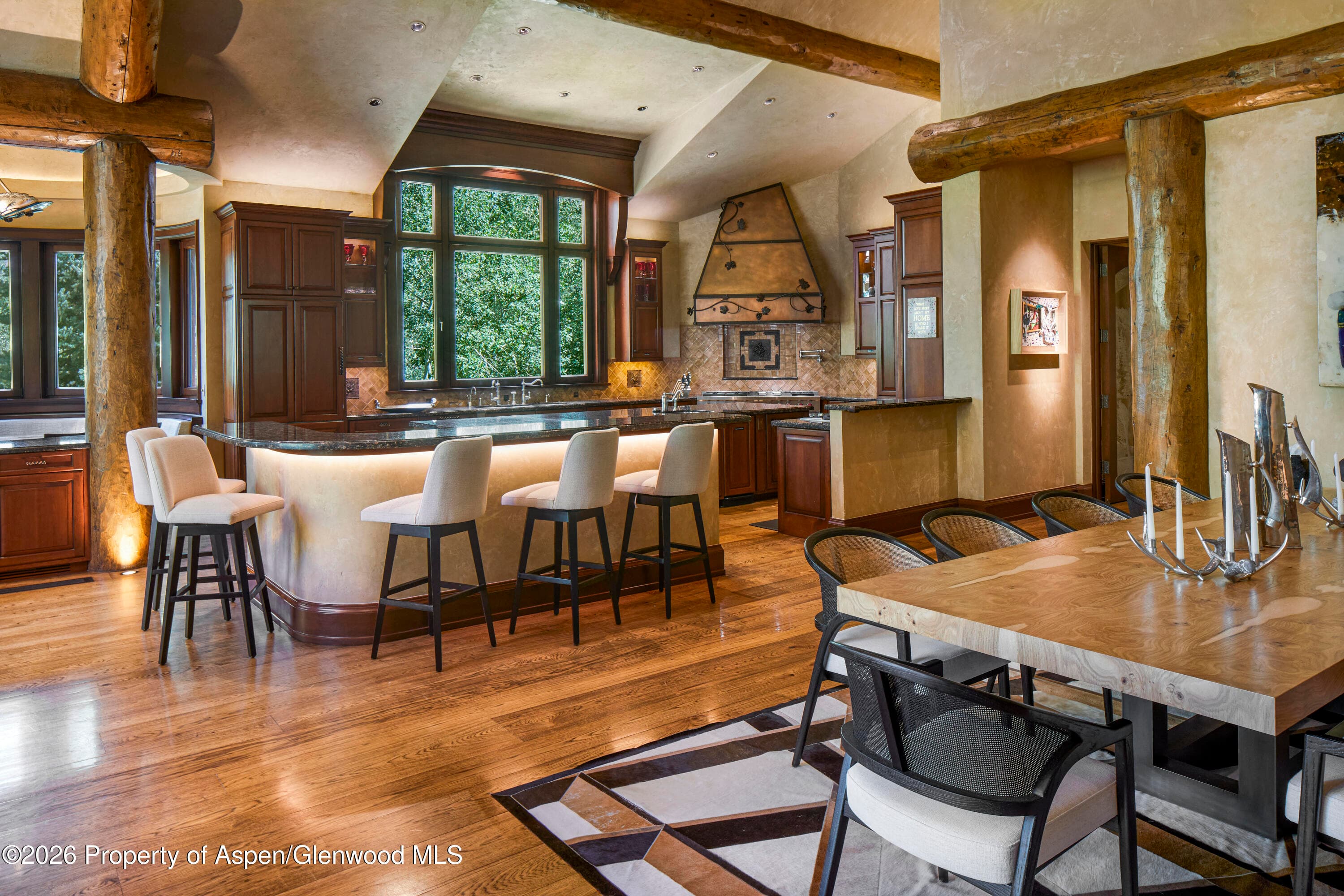 928 S Mill Street, Aspen, CO 81611 - Photo 2