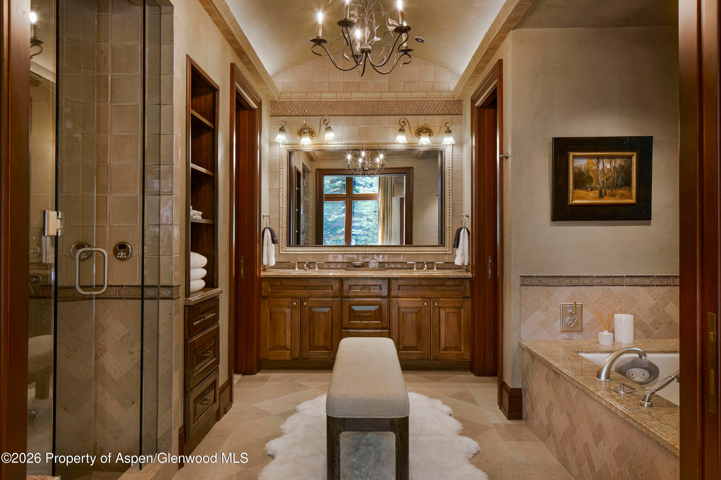 928 S Mill Street, Aspen, CO 81611 - Photo 8