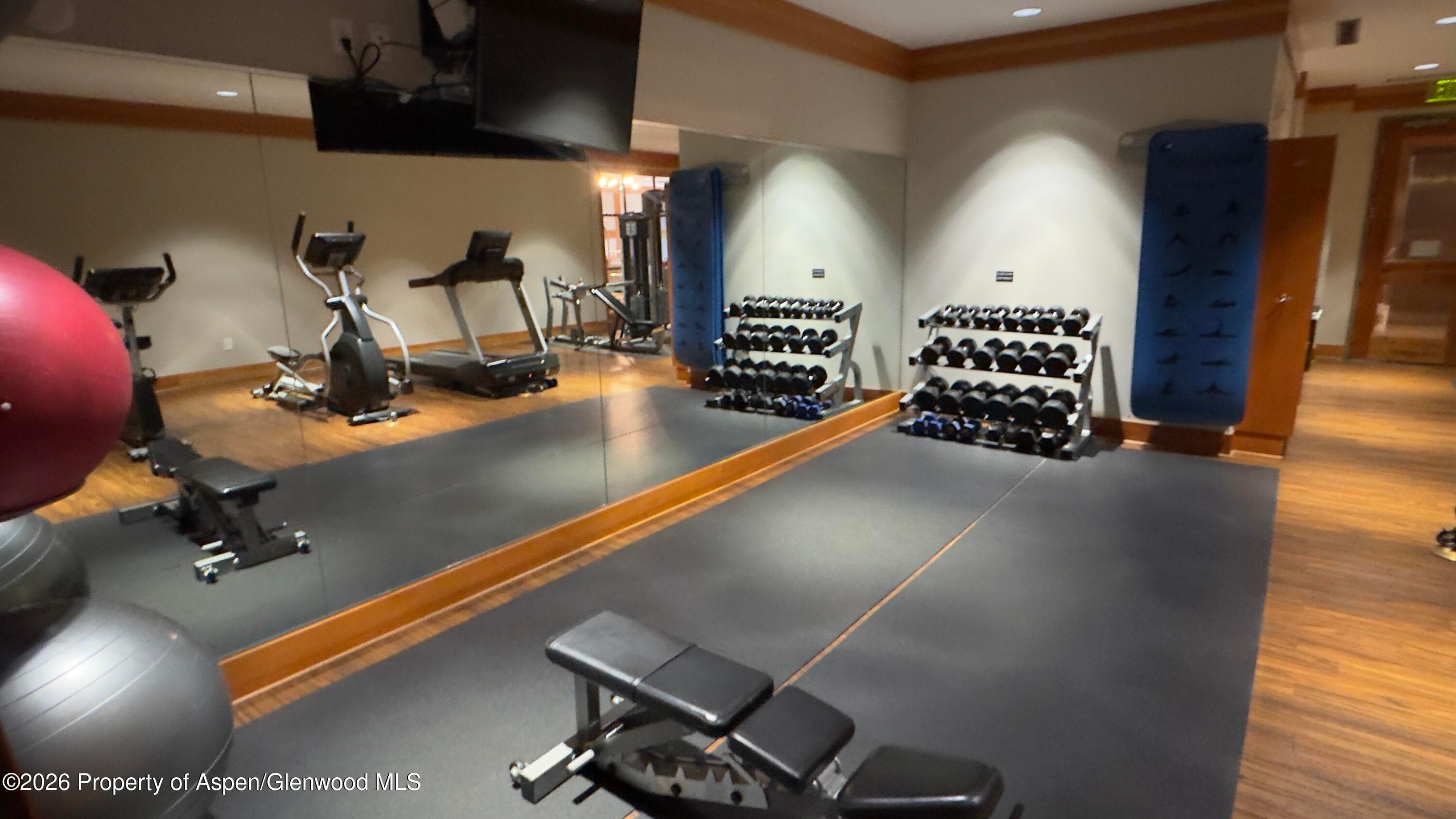 90 Carriage Way 3515, Snowmass Village, CO 81615 - Photo 21