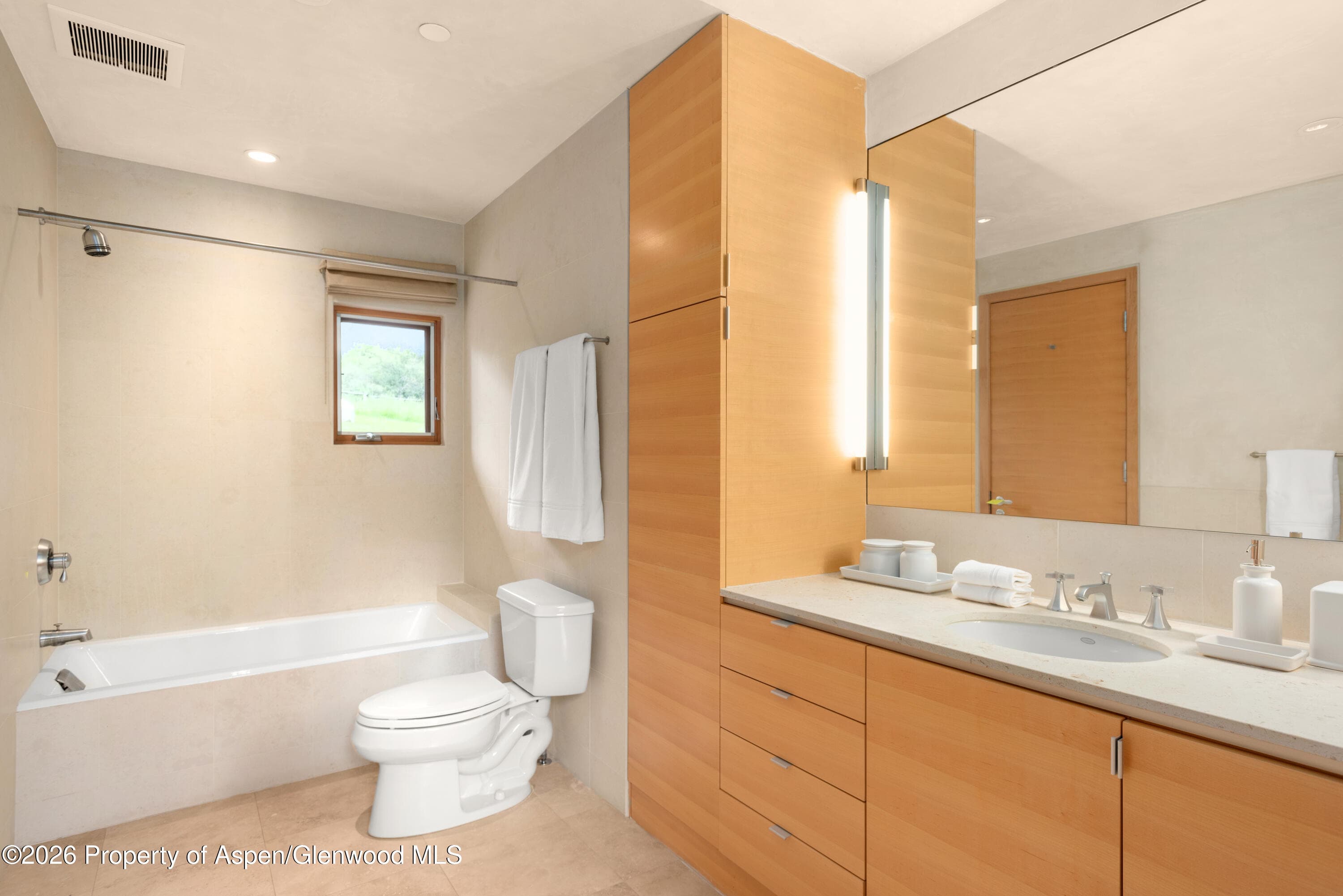 700 Nell Erickson Road, Aspen, CO 81611 - Photo 14
