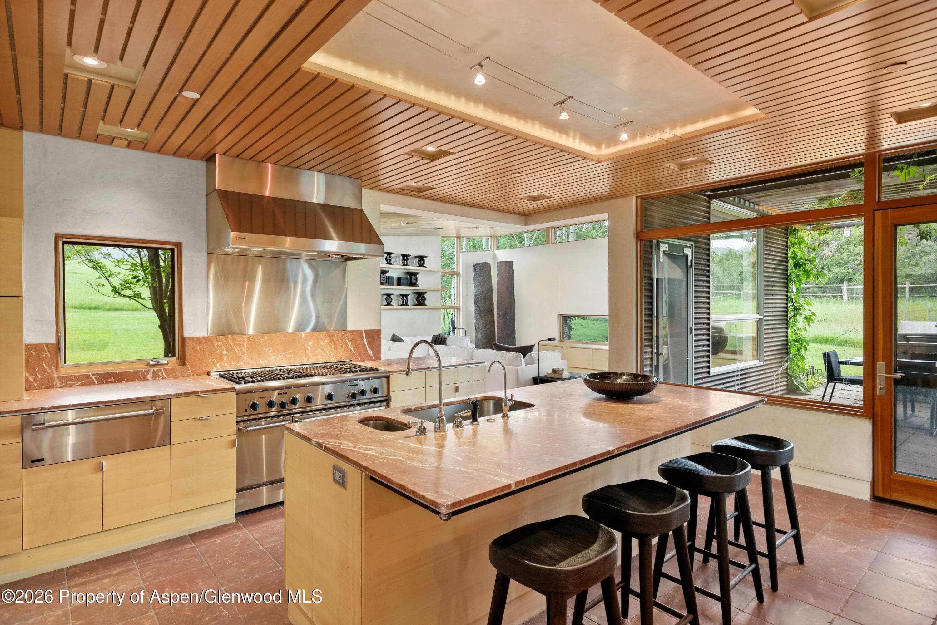 700 Nell Erickson Road, Aspen, CO 81611 - Photo 10