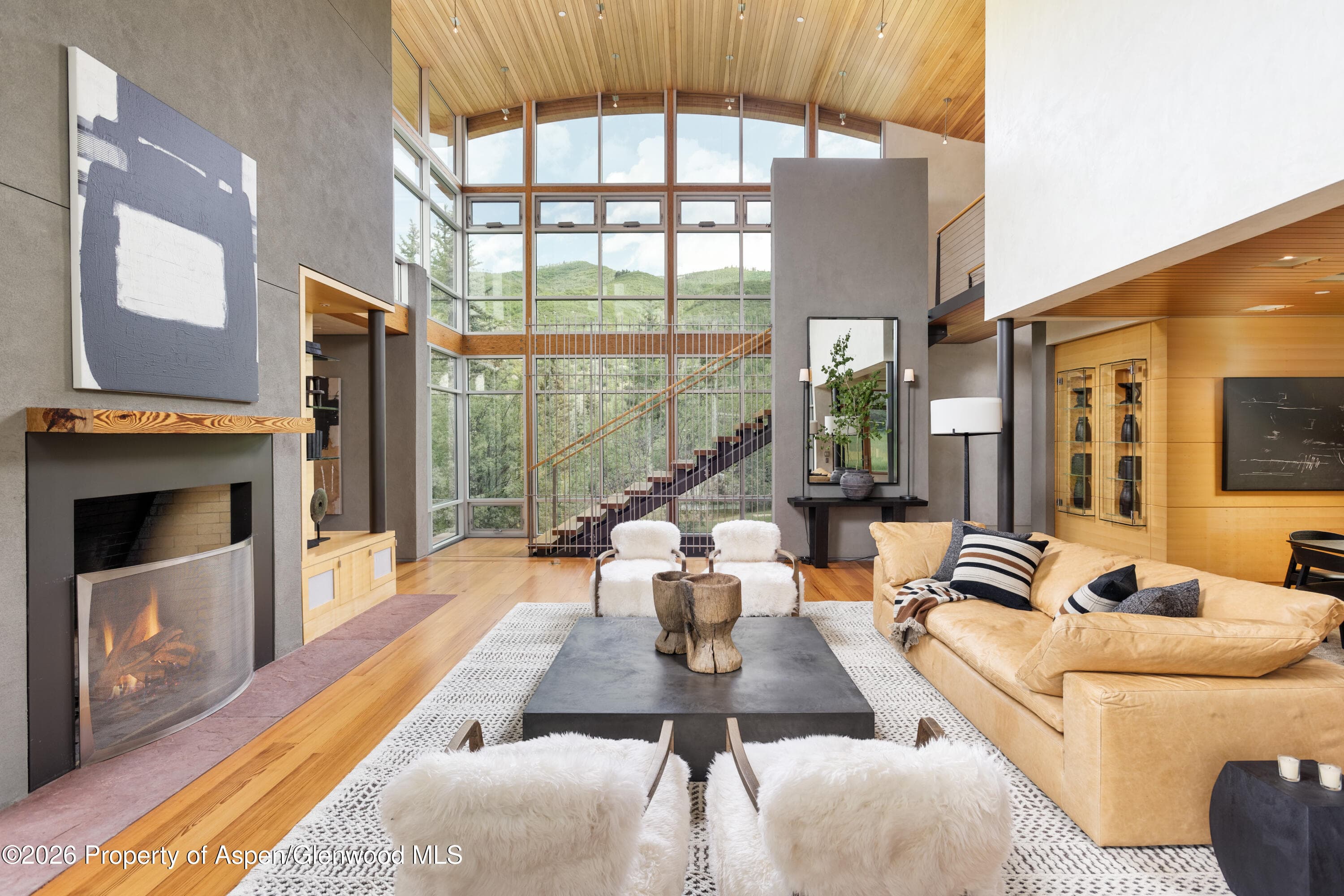 700 Nell Erickson Road, Aspen, CO 81611 - Photo 6