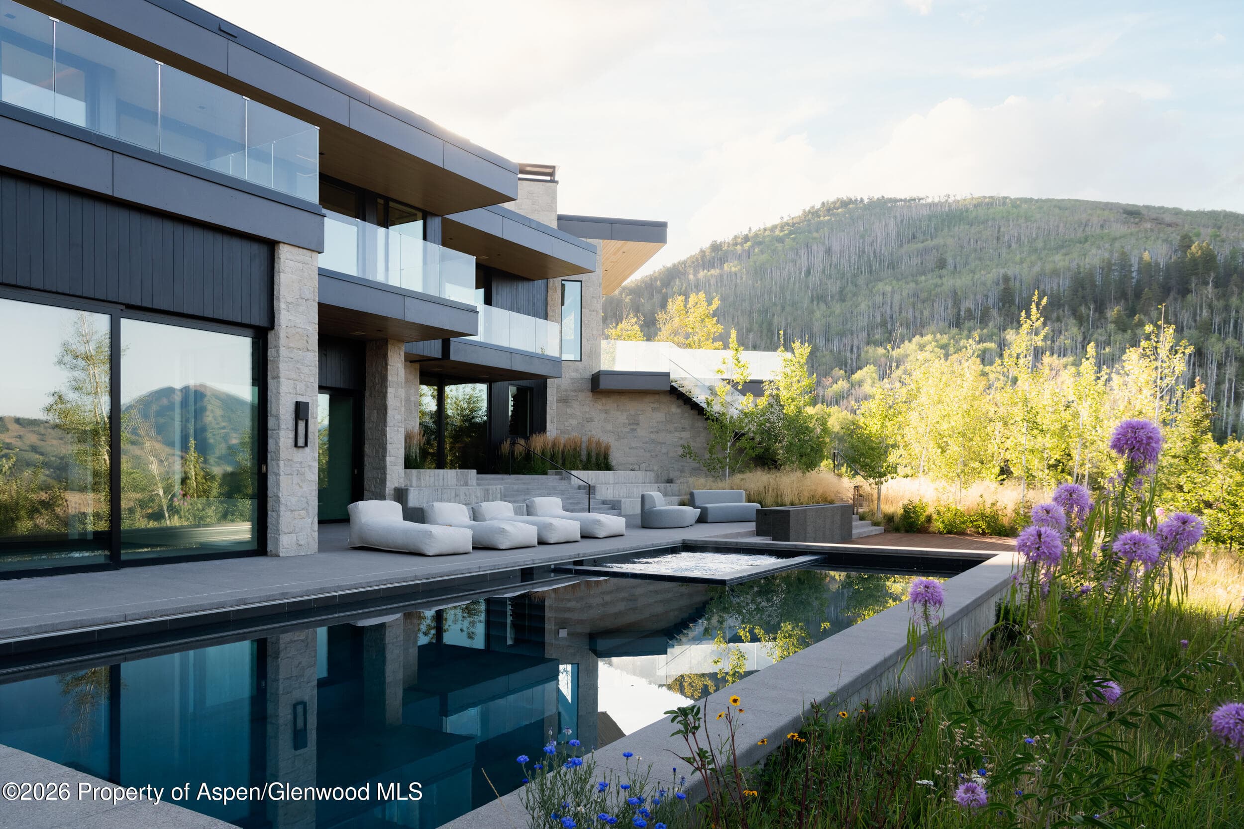 401 Carroll Drive, Aspen, CO 81611 - Photo 34