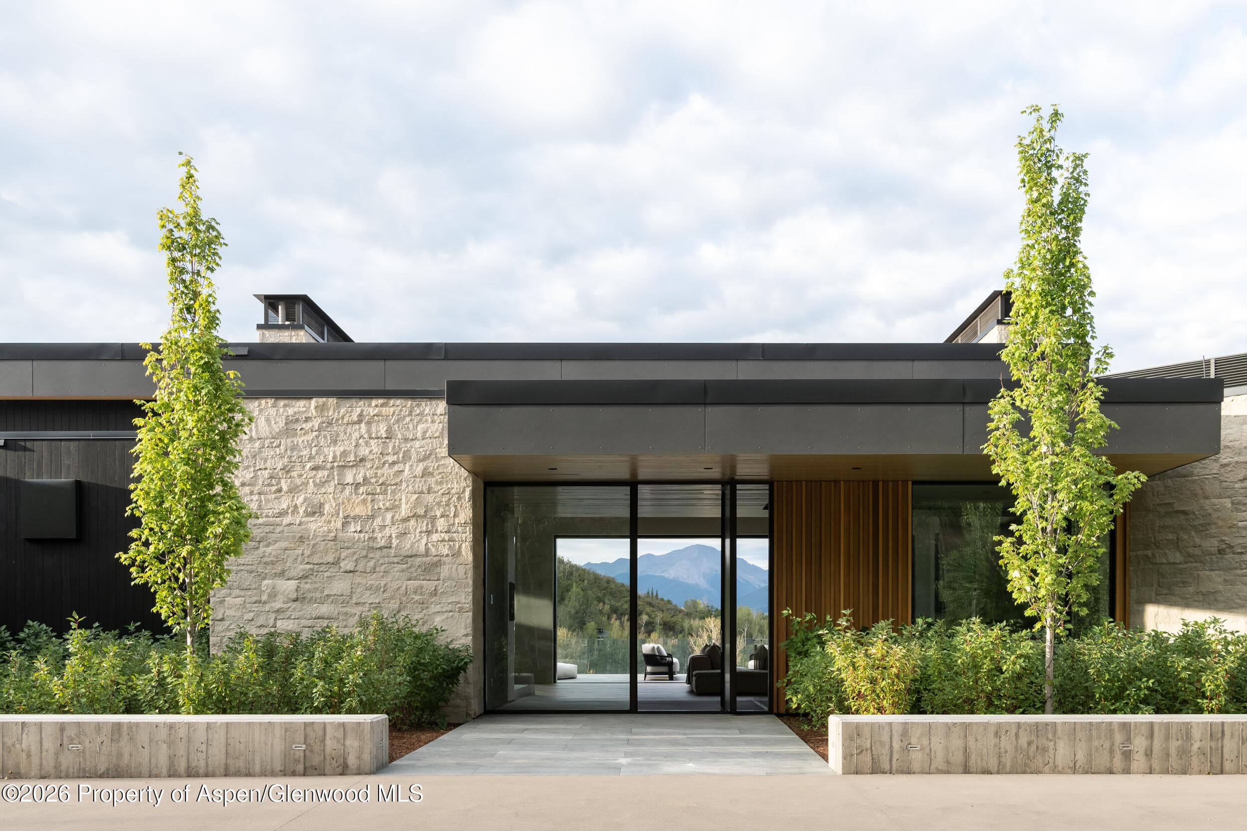 401 Carroll Drive, Aspen, CO 81611 - Photo 3