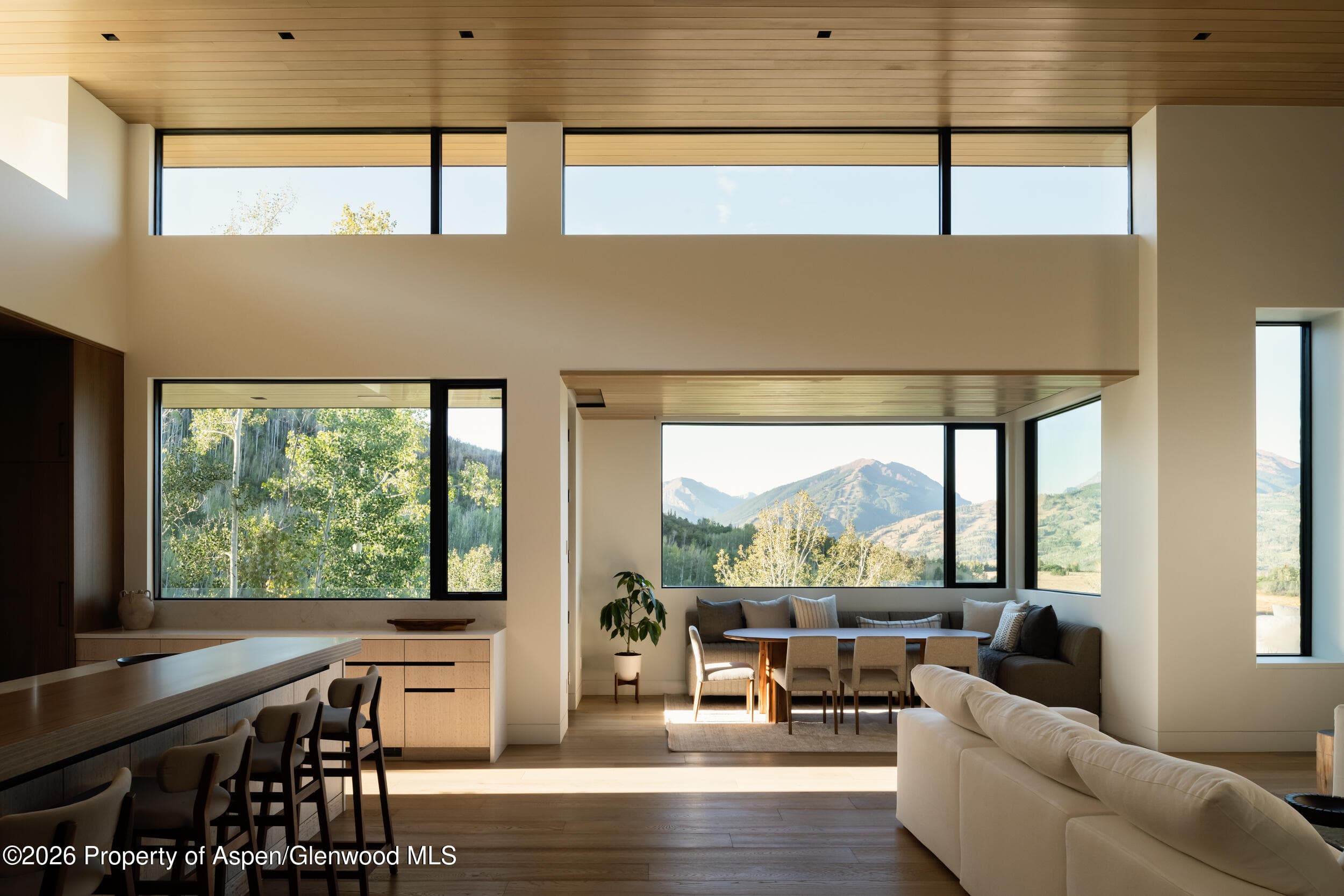 401 Carroll Drive, Aspen, CO 81611 - Photo 18