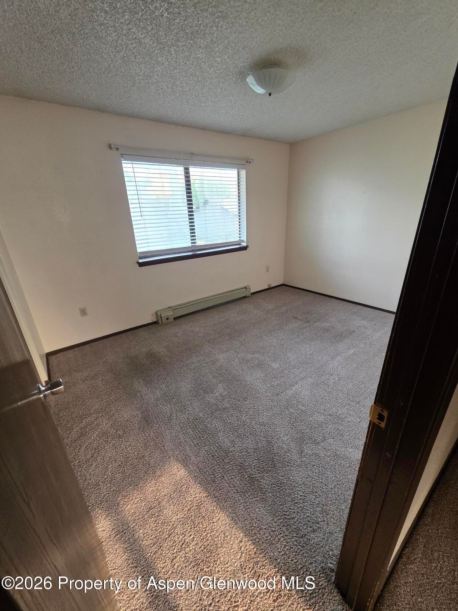 2401 Rail Avenue, Rifle, CO 81650 - Photo 4