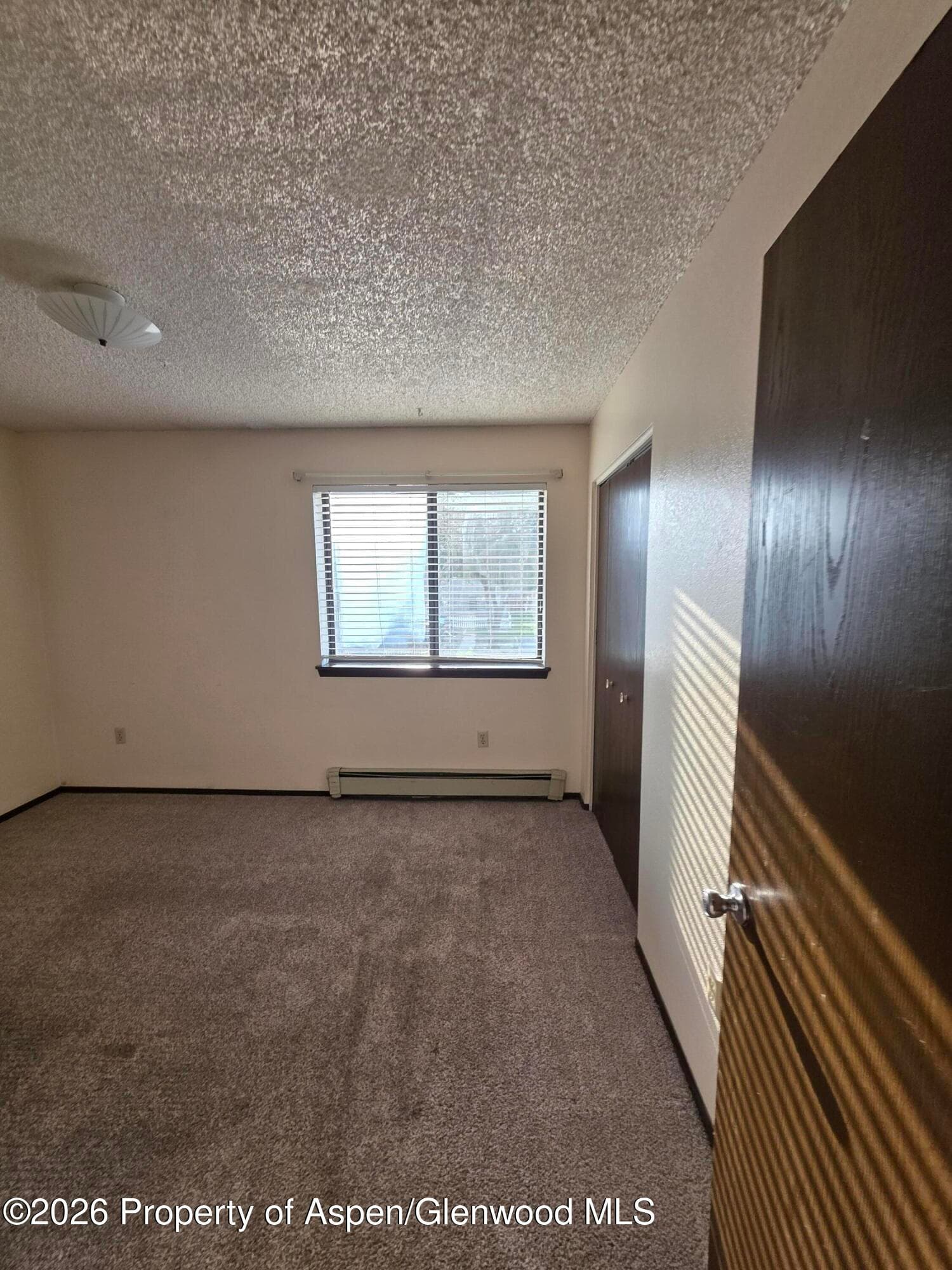 2401 Rail Avenue, Rifle, CO 81650 - Photo 5