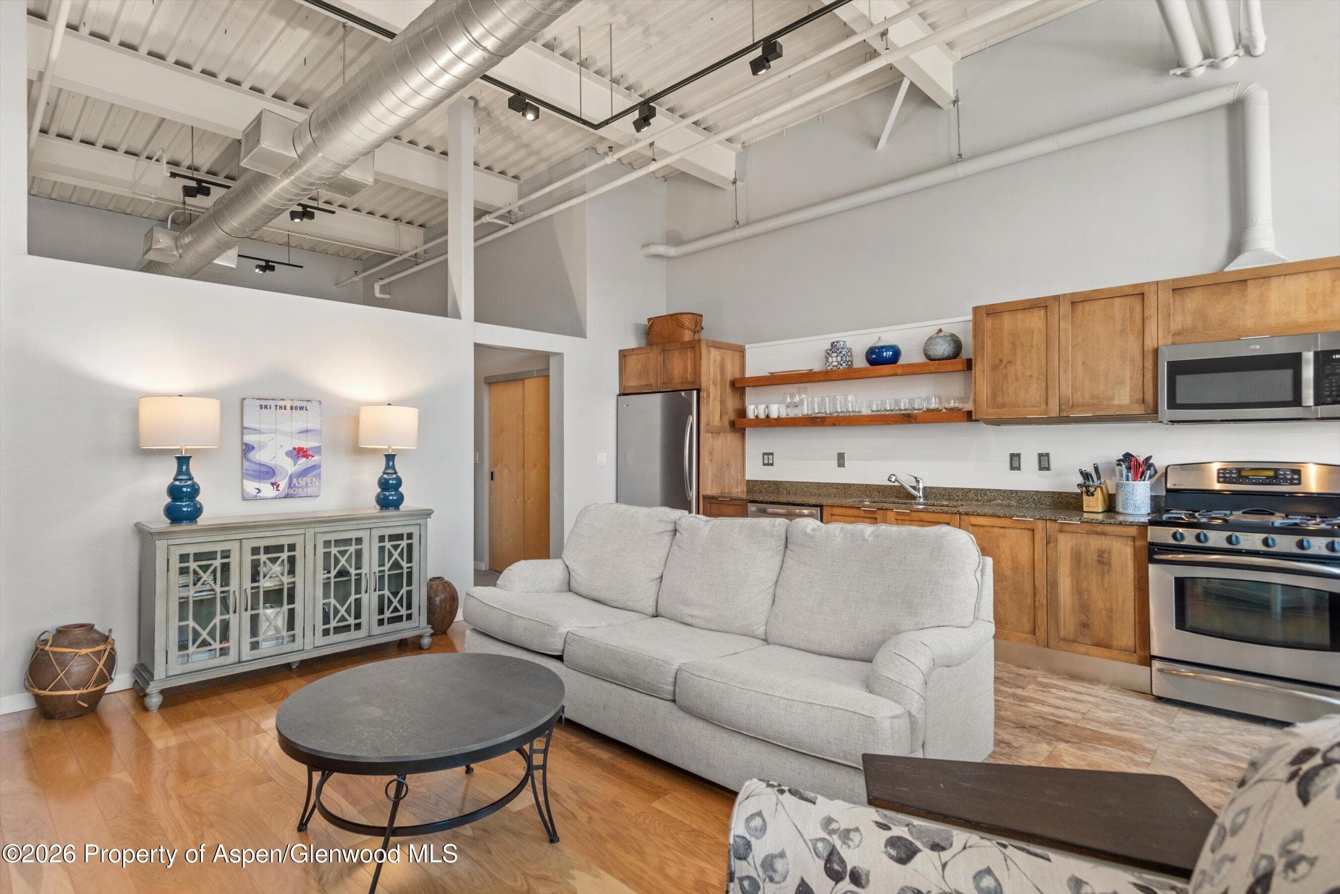 231 Robinson Street R-310, Basalt, CO 81621 - Photo 5